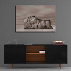 Rock Solid by Chris Moyer - 36x24 acrylic wall art in a room