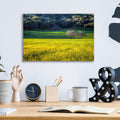 Together Forever by Chris Moyer - 16x12 acrylic wall art in a room