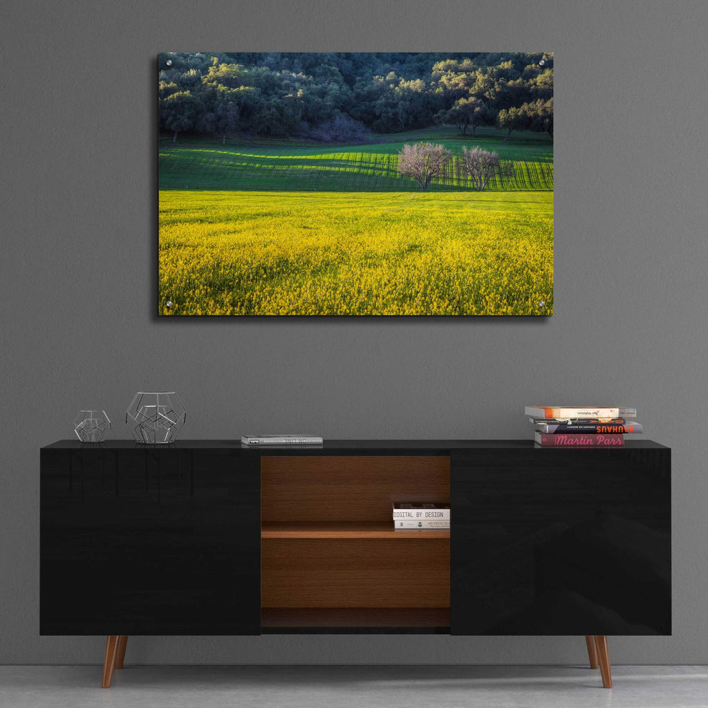 Together Forever by Chris Moyer - 36x24 acrylic wall art in a room