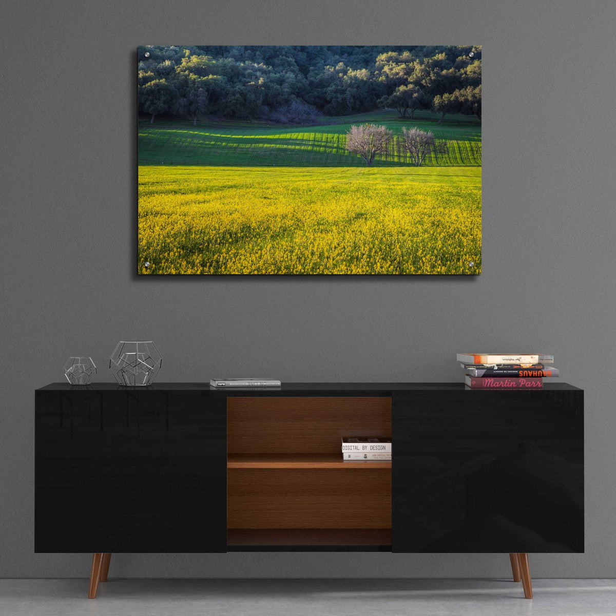 Together Forever by Chris Moyer - 36x24 acrylic wall art in a room