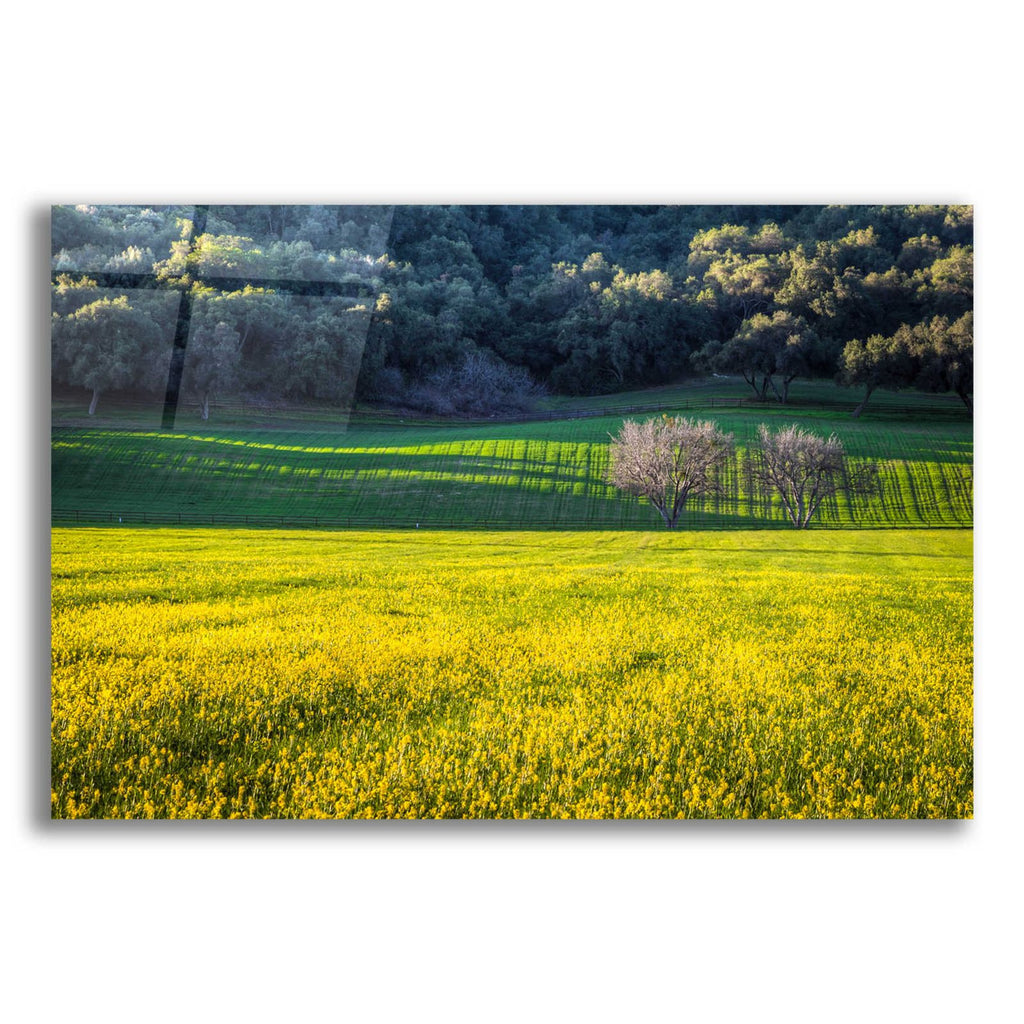 Together Forever by Chris Moyer acrylic glass wall art