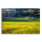 Together Forever by Chris Moyer acrylic glass wall art