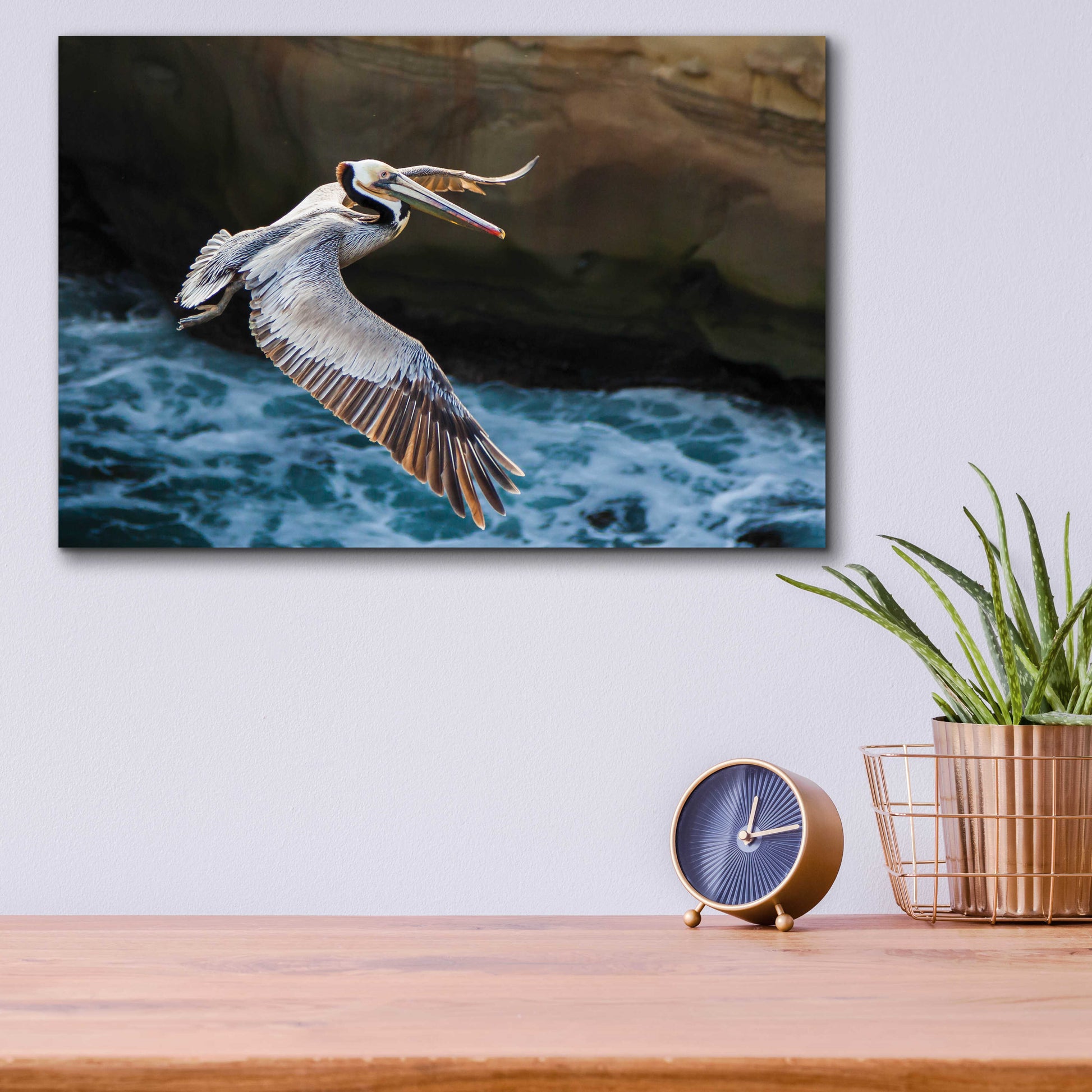 Epic Art 'Pelican Flight' by Chris Moyer, Acrylic Glass Wall Art,16x12