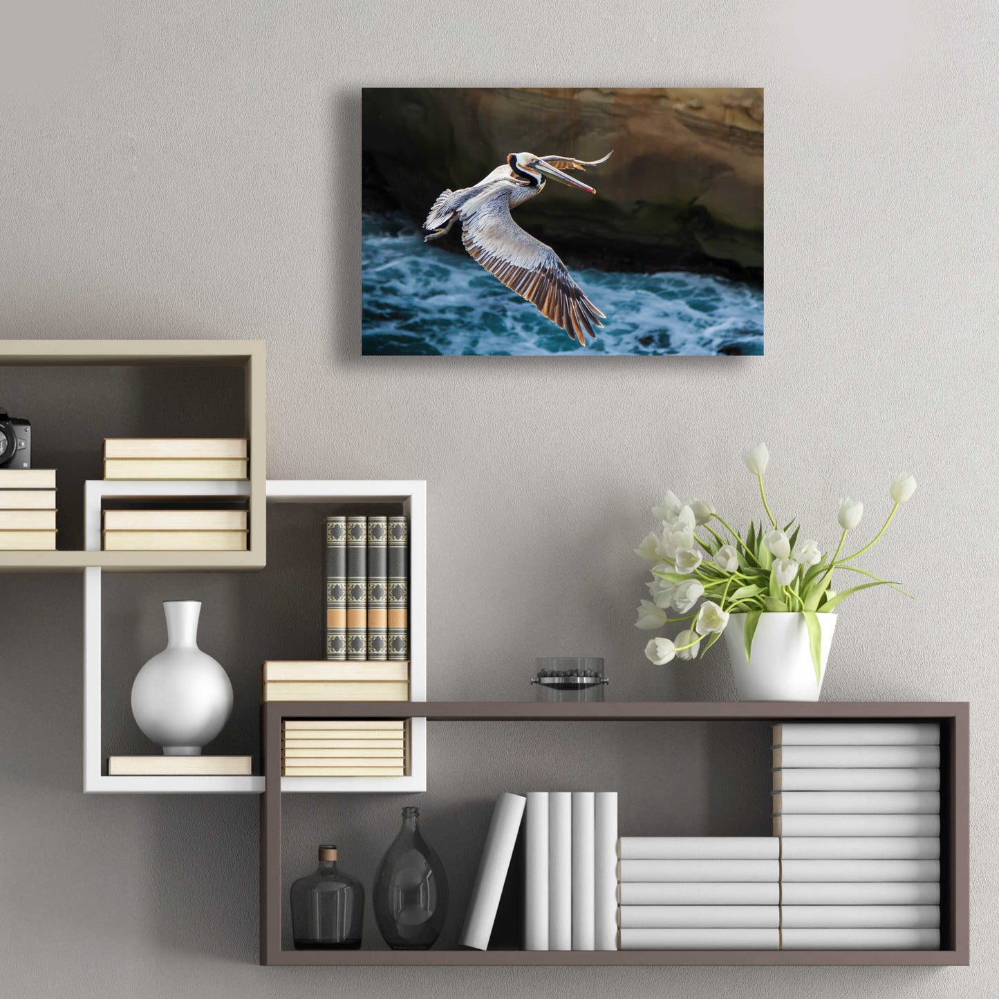 Epic Art 'Pelican Flight' by Chris Moyer, Acrylic Glass Wall Art,24x16