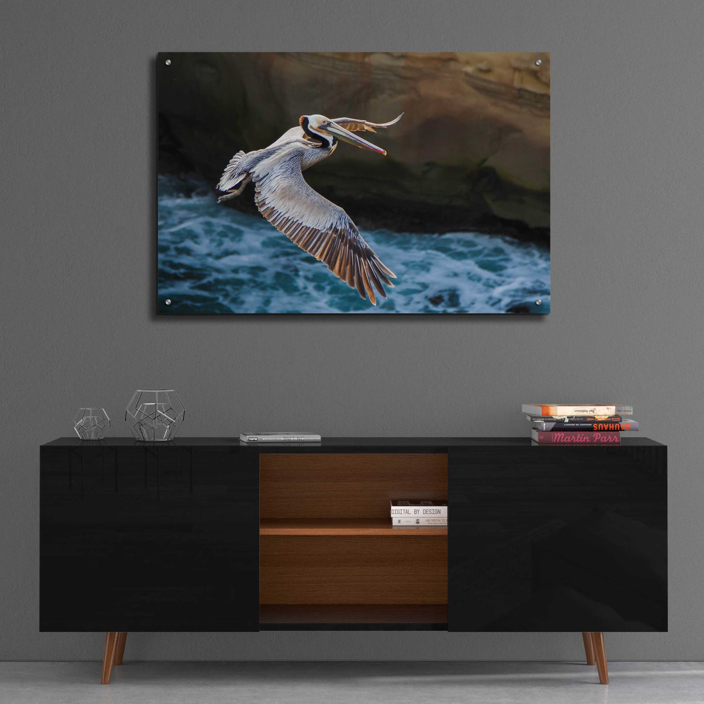 Epic Art 'Pelican Flight' by Chris Moyer, Acrylic Glass Wall Art,36x24