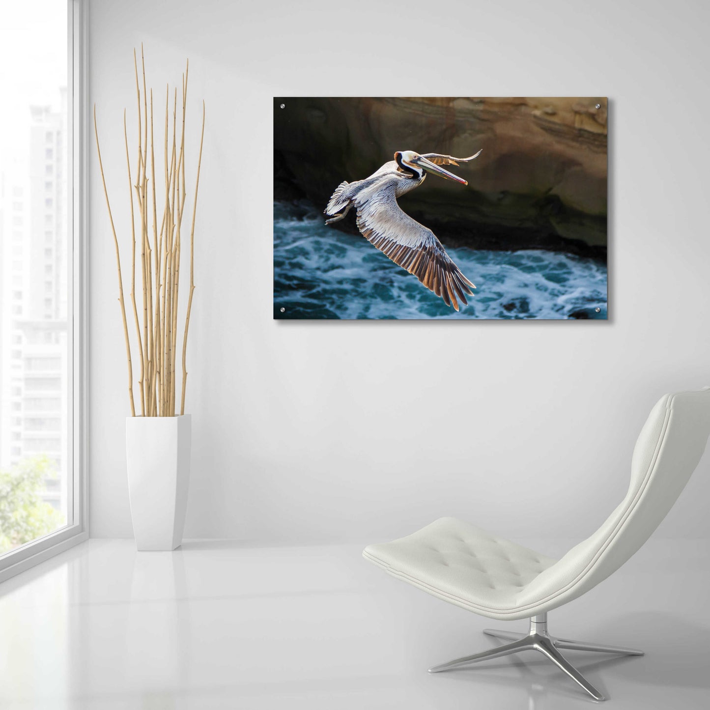 Epic Art 'Pelican Flight' by Chris Moyer, Acrylic Glass Wall Art,36x24