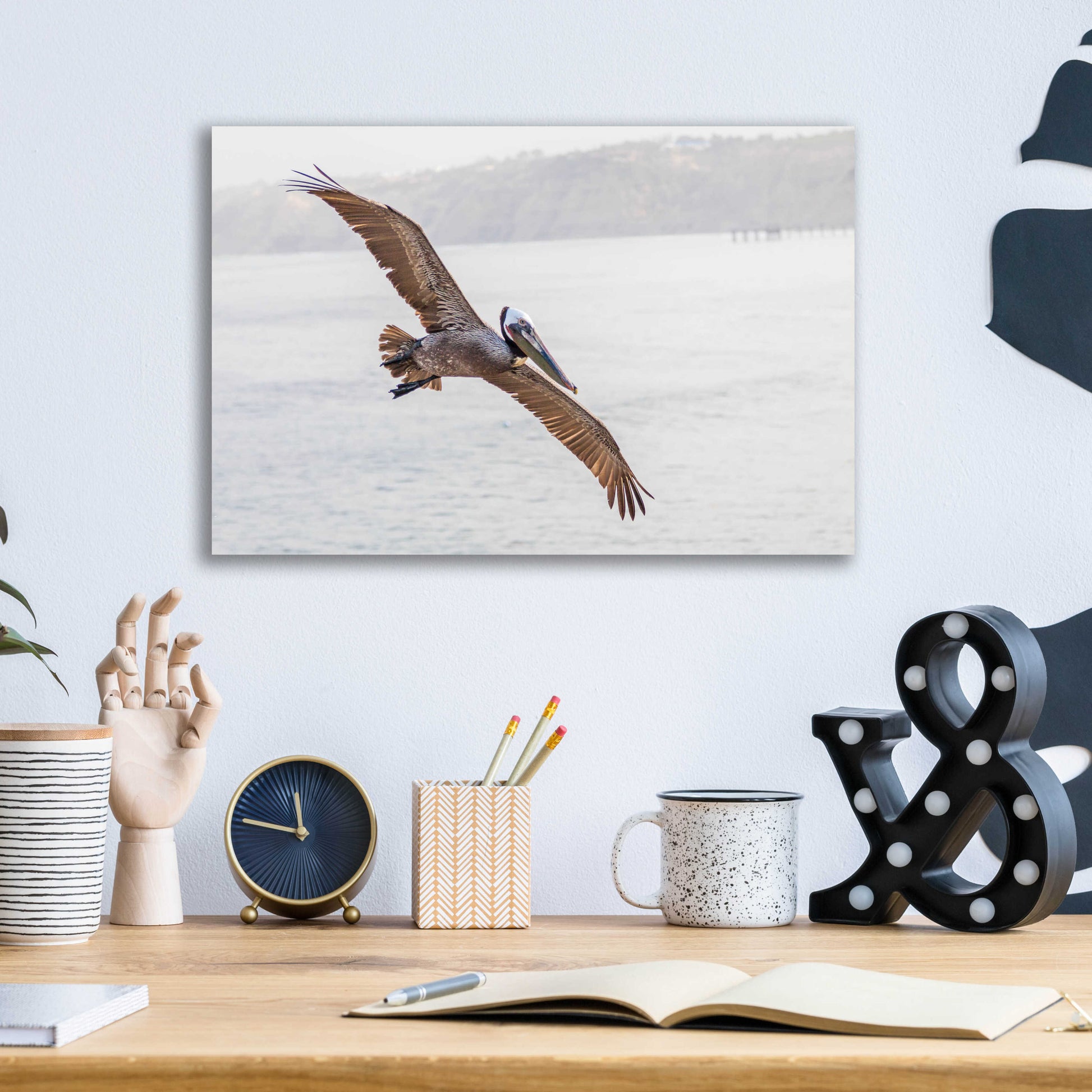 Epic Art 'Pelican Spread' by Chris Moyer, Acrylic Glass Wall Art,16x12