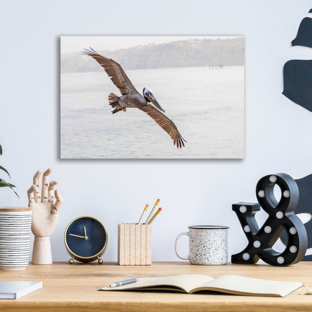 Pelican Spread by Chris Moyer - 16x12 acrylic wall art in a room