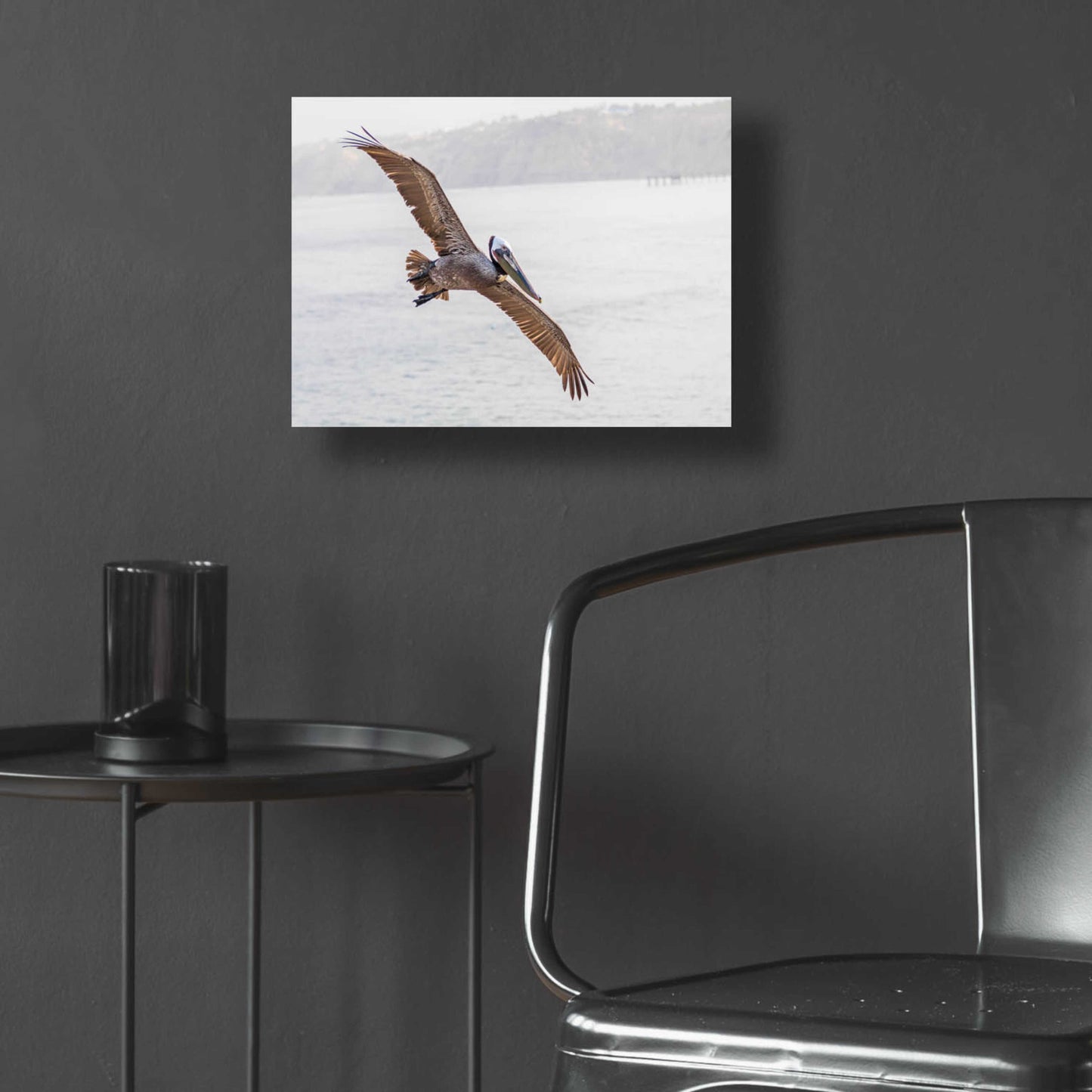 Epic Art 'Pelican Spread' by Chris Moyer, Acrylic Glass Wall Art,16x12