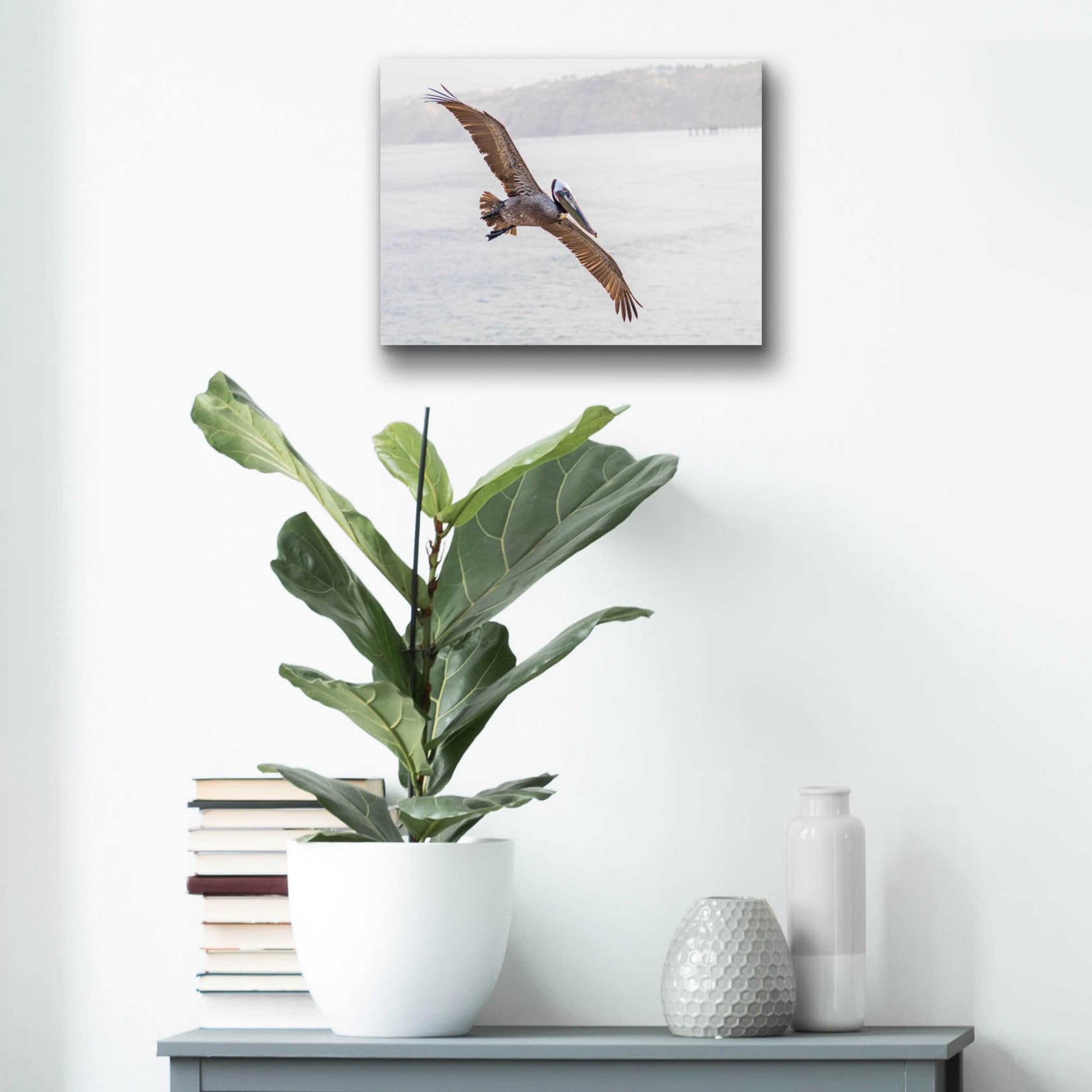 Epic Art 'Pelican Spread' by Chris Moyer, Acrylic Glass Wall Art,16x12