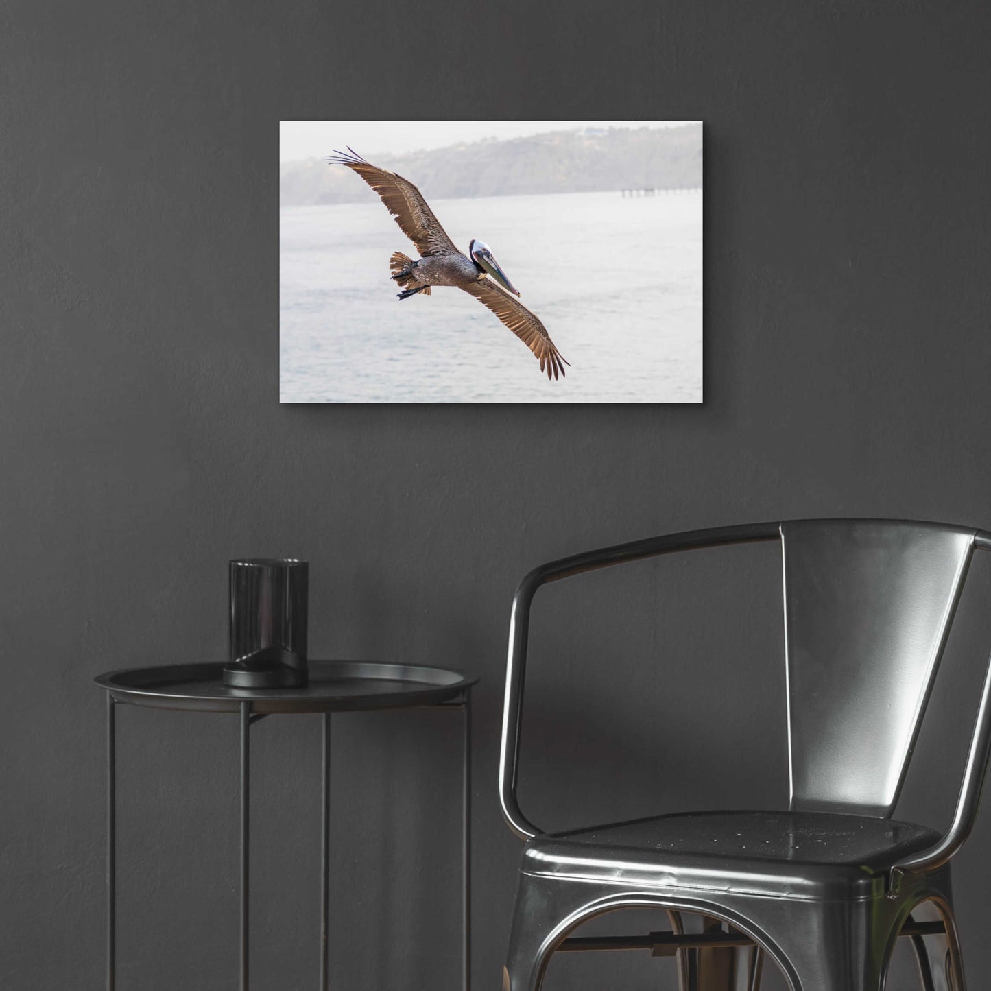 Epic Art 'Pelican Spread' by Chris Moyer, Acrylic Glass Wall Art,24x16