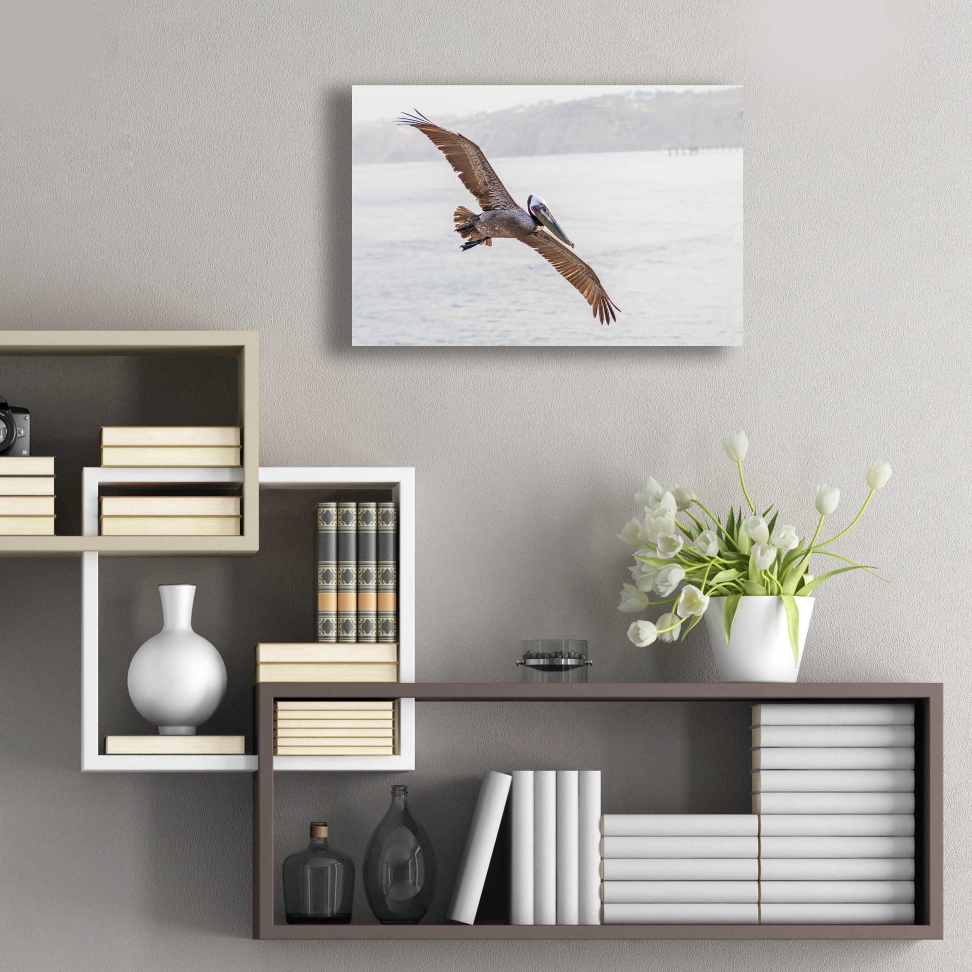 Epic Art 'Pelican Spread' by Chris Moyer, Acrylic Glass Wall Art,24x16