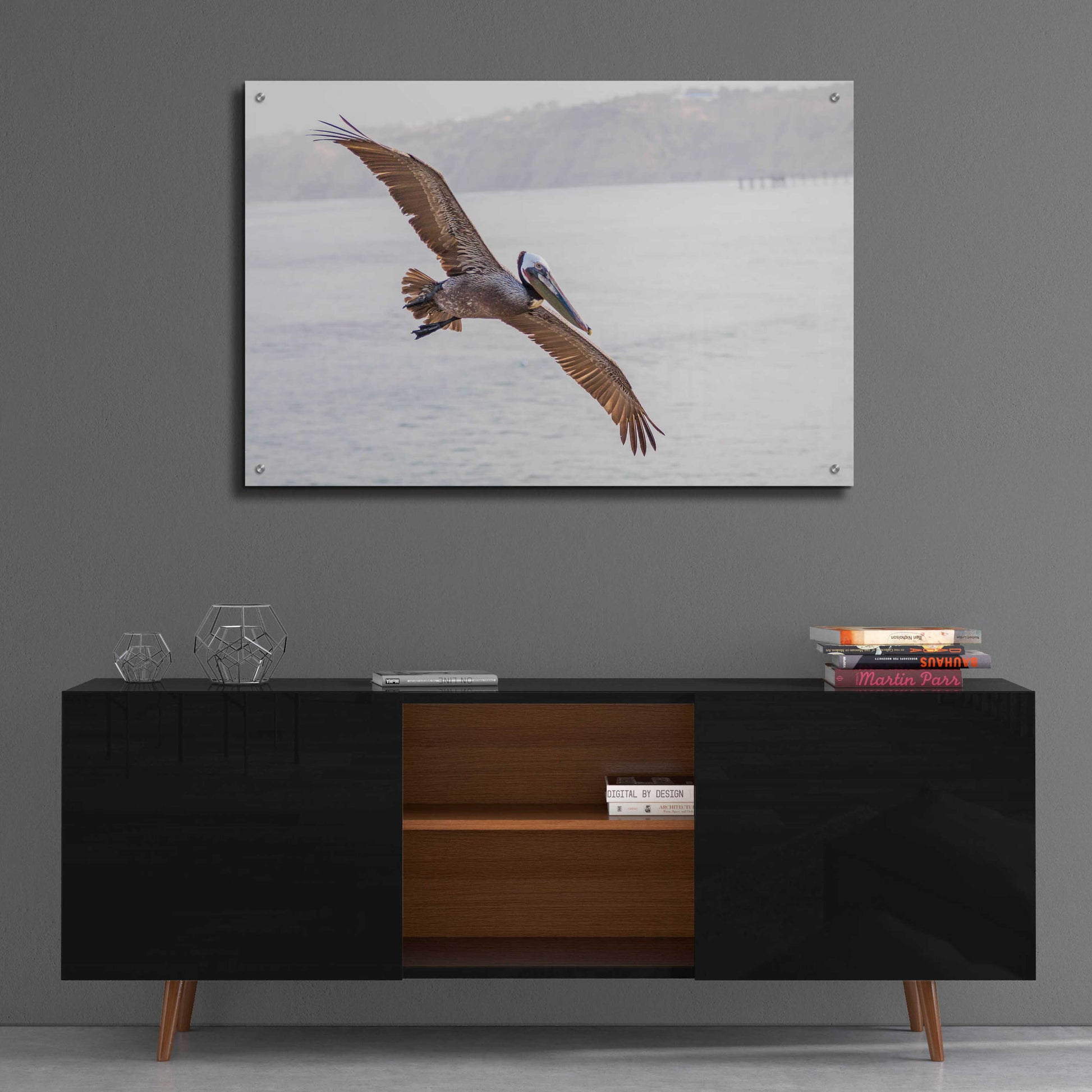 Epic Art 'Pelican Spread' by Chris Moyer, Acrylic Glass Wall Art,36x24