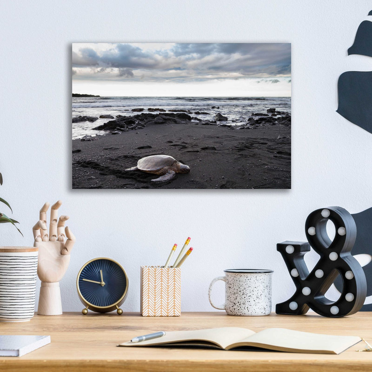 Black Sand Honu by Chris Moyer - 16x12 acrylic wall art in a room