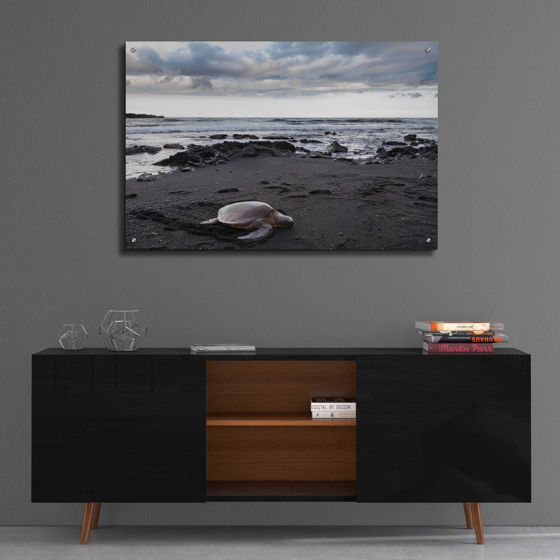 Epic Art 'Black Sand Honu' by Chris Moyer, Acrylic Glass Wall Art,36x24