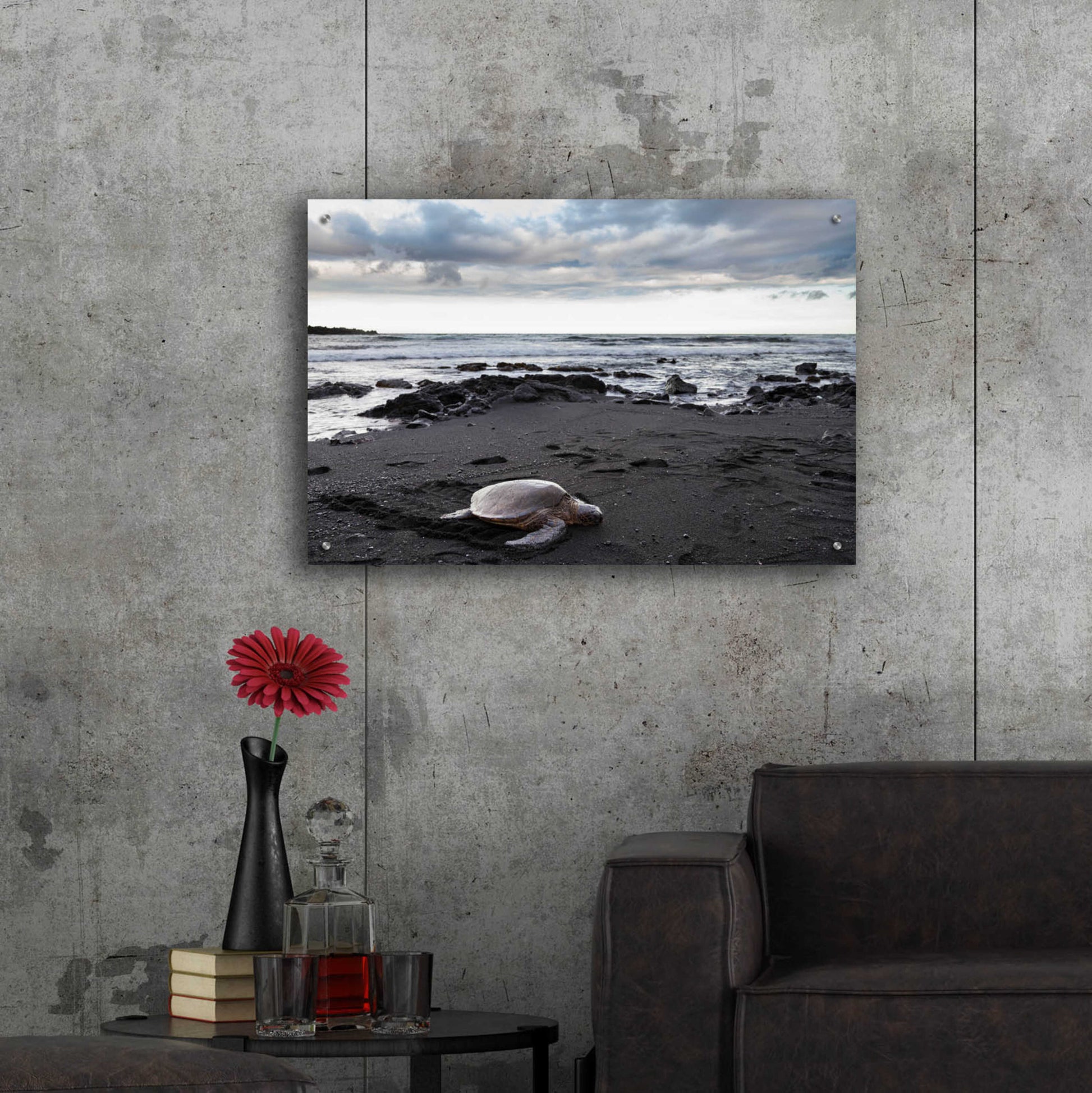 Epic Art 'Black Sand Honu' by Chris Moyer, Acrylic Glass Wall Art,36x24