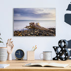 Stumped by Chris Moyer - 16x12 acrylic wall art in a room