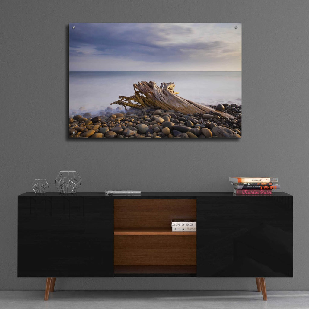 Stumped by Chris Moyer - 36x24 acrylic wall art in a room