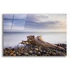 Stumped by Chris Moyer acrylic glass wall art