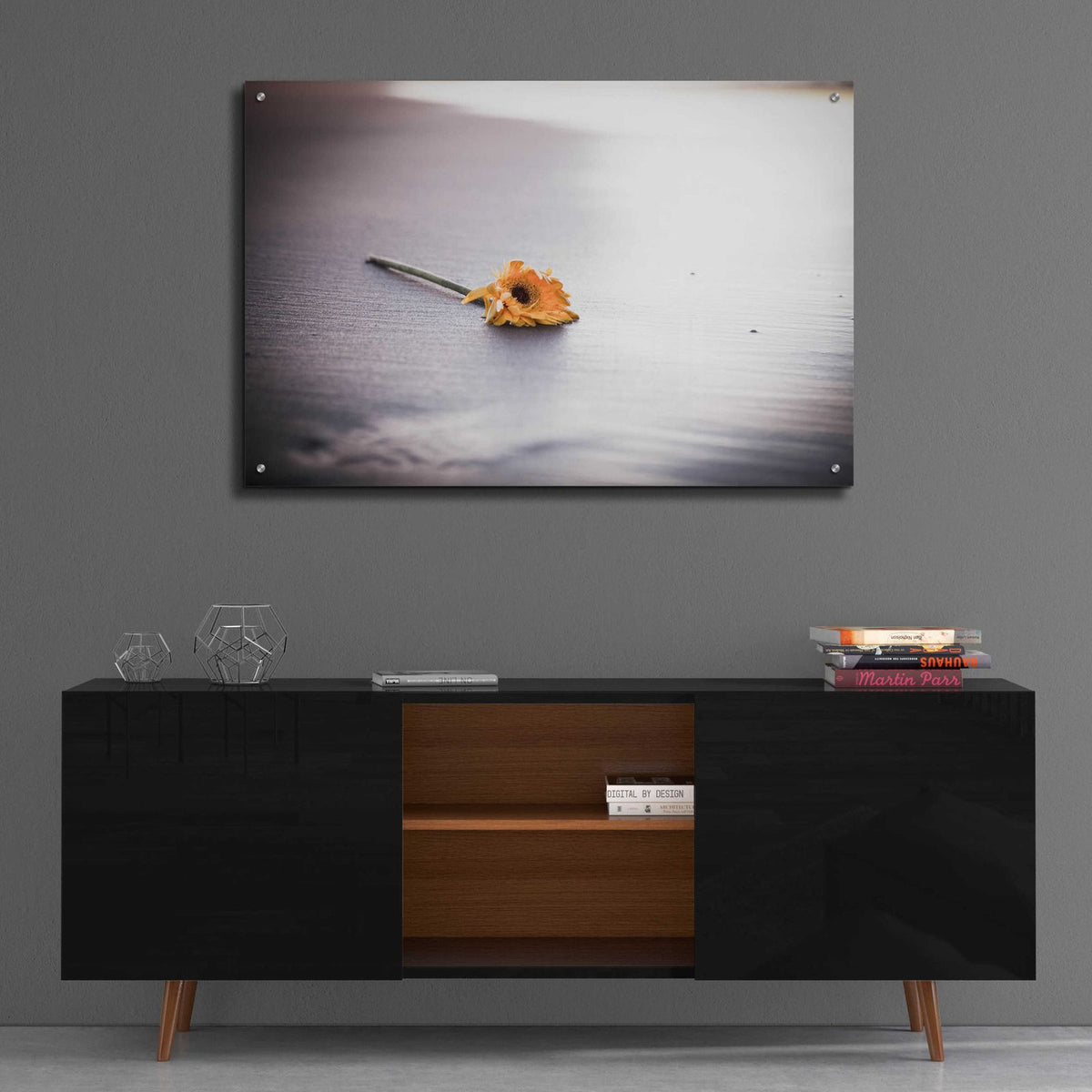Even Daisies Have Bad Days by Chris Moyer - 36x24 acrylic wall art in a room