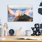Epic Art 'Shellview Surf' by Chris Moyer, Acrylic Glass Wall Art,16x12