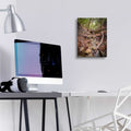Lower Nojoqui Falls by Chris Moyer - 12x16 acrylic wall art in a room