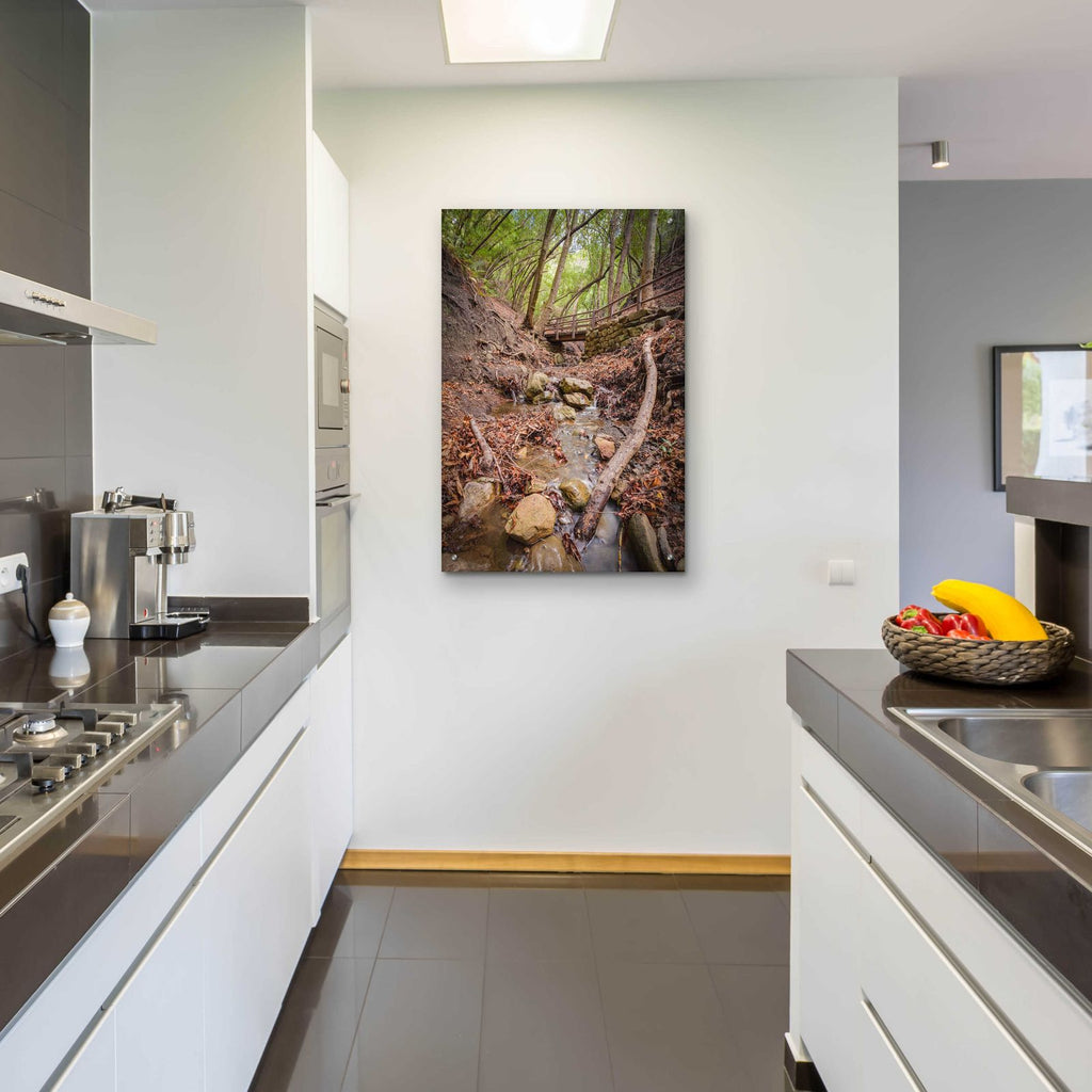 Lower Nojoqui Falls by Chris Moyer - 24x36 acrylic wall art in a room