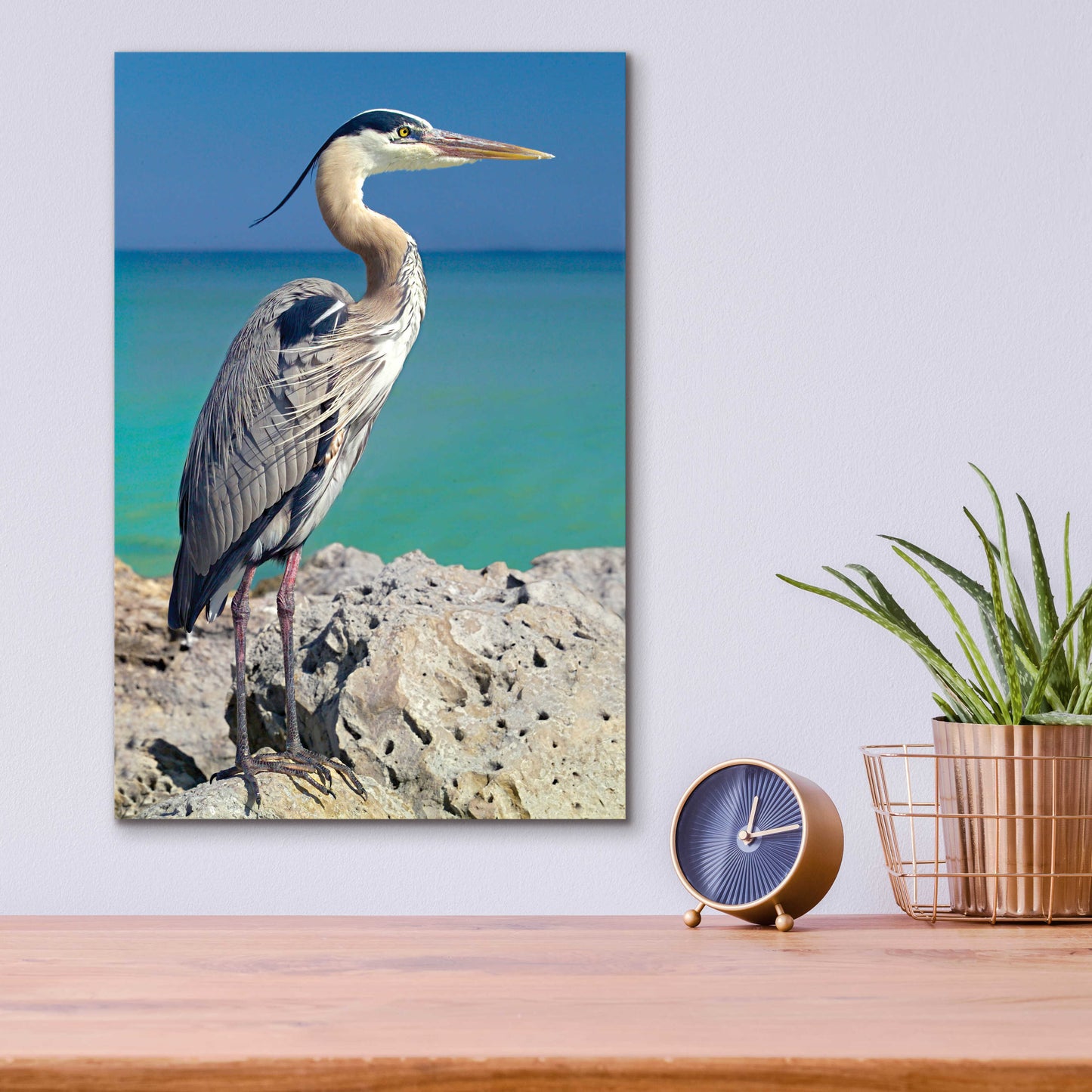 Epic Art 'Blue Heron' by Mike Jones, Acrylic Glass Wall Art,12x16