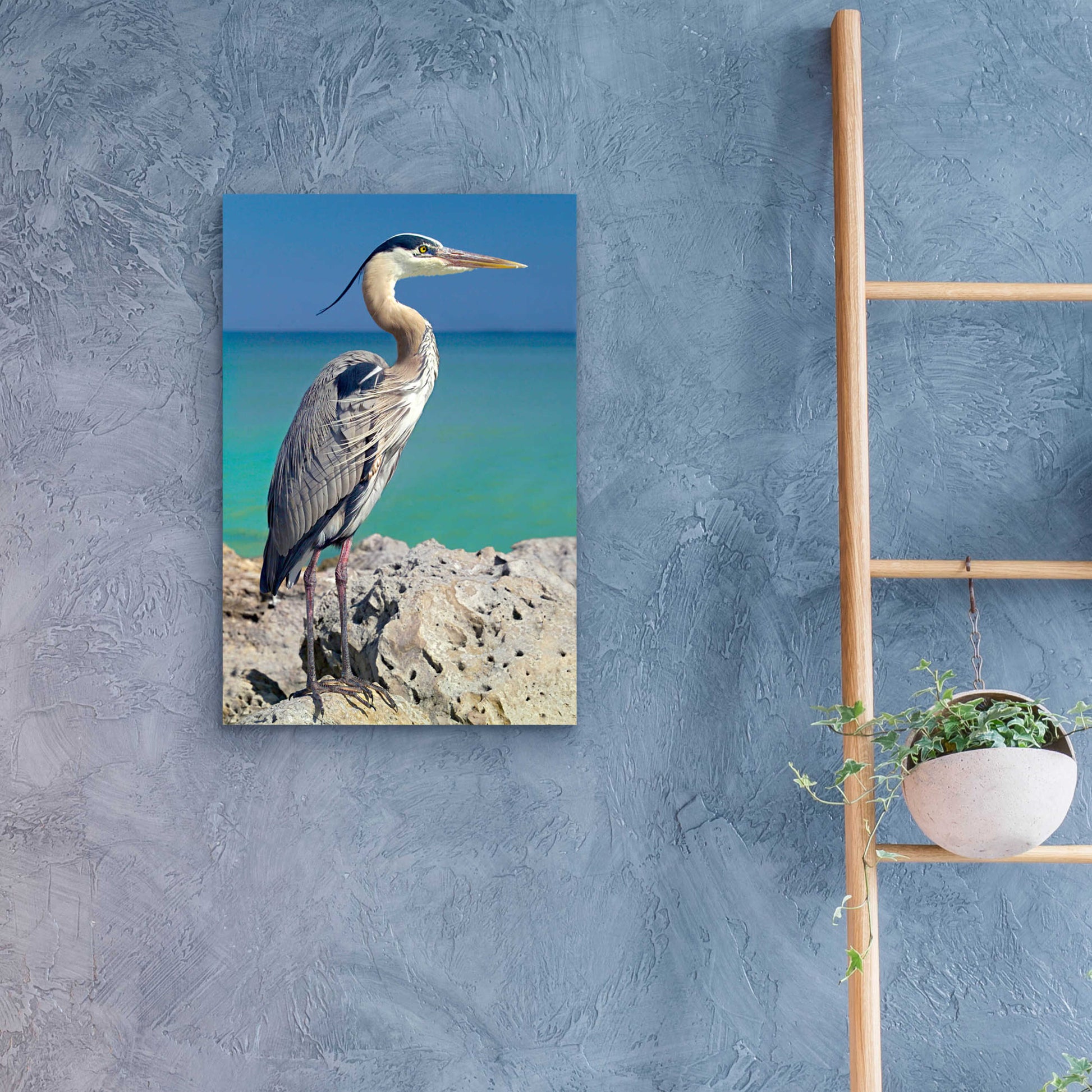 Epic Art 'Blue Heron' by Mike Jones, Acrylic Glass Wall Art,16x24