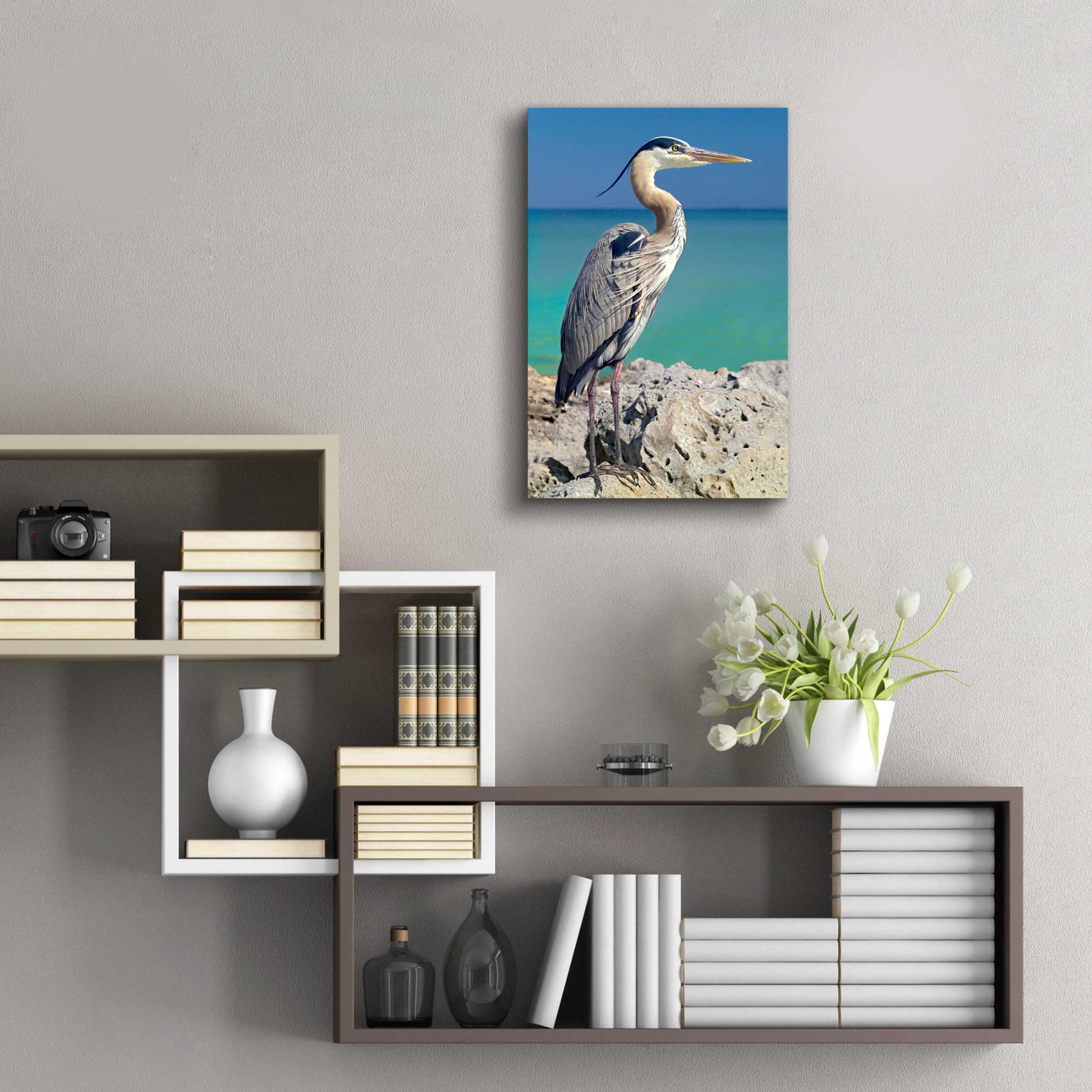 Epic Art 'Blue Heron' by Mike Jones, Acrylic Glass Wall Art,16x24