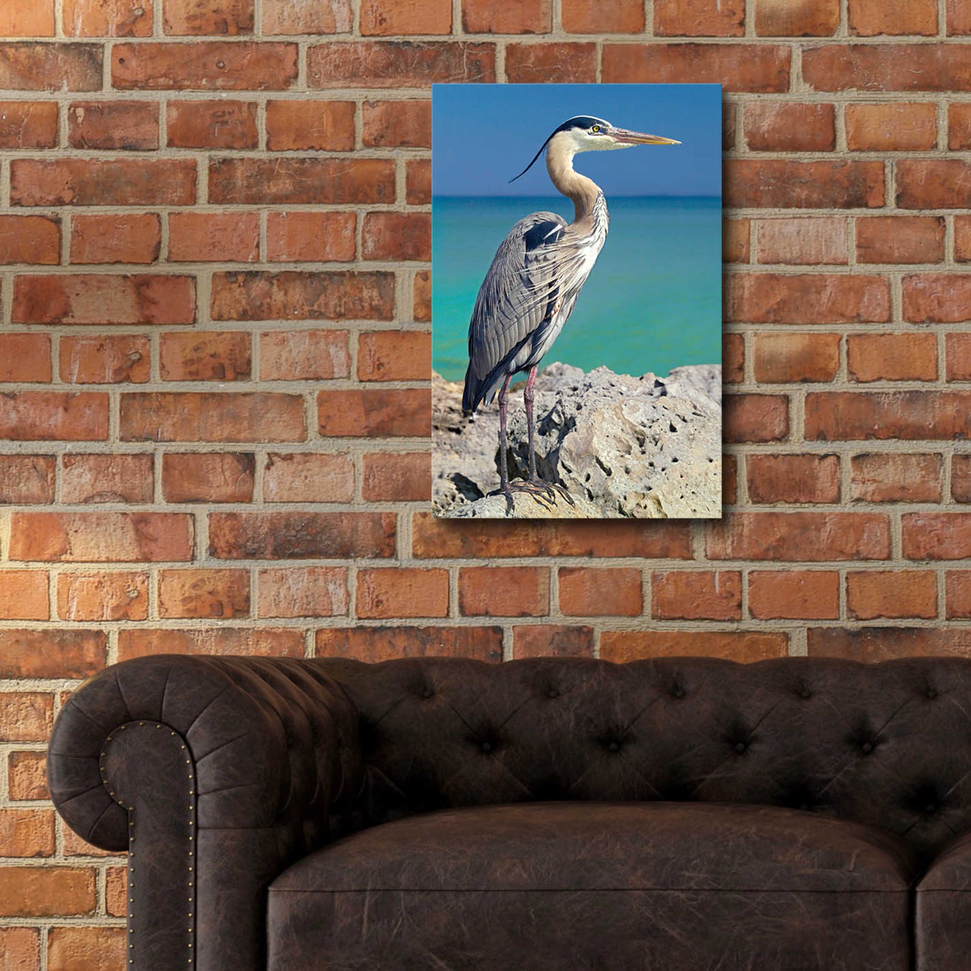 Epic Art 'Blue Heron' by Mike Jones, Acrylic Glass Wall Art,16x24