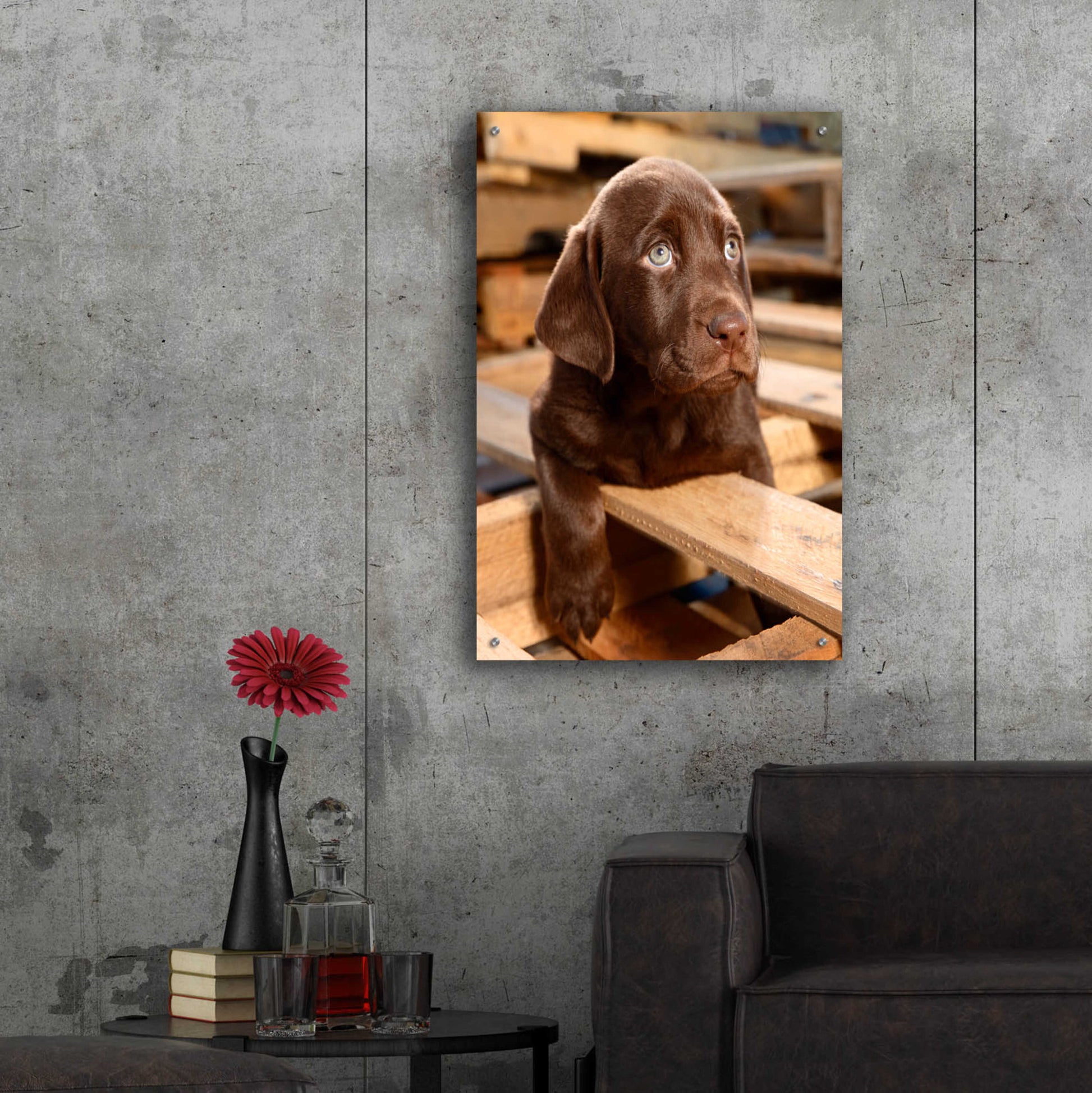 Epic Art 'Bryce Puppy' by Mike Jones, Acrylic Glass Wall Art,24x36