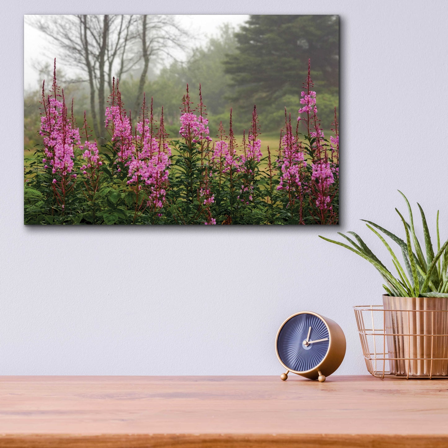 Epic Art 'Campobello Lupine' by Mike Jones, Acrylic Glass Wall Art,16x12