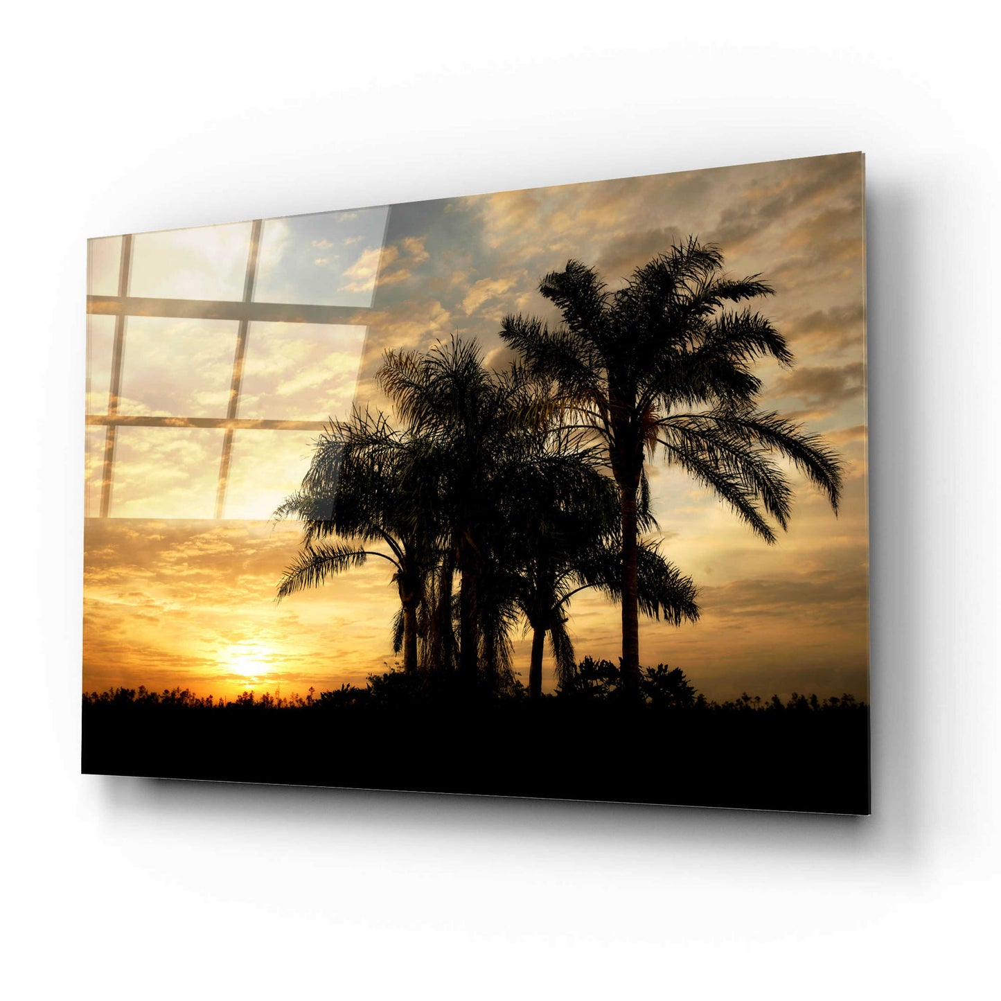 Epic Art 'Everglades Sunrise' by Mike Jones, Acrylic Glass Wall Art,16x12