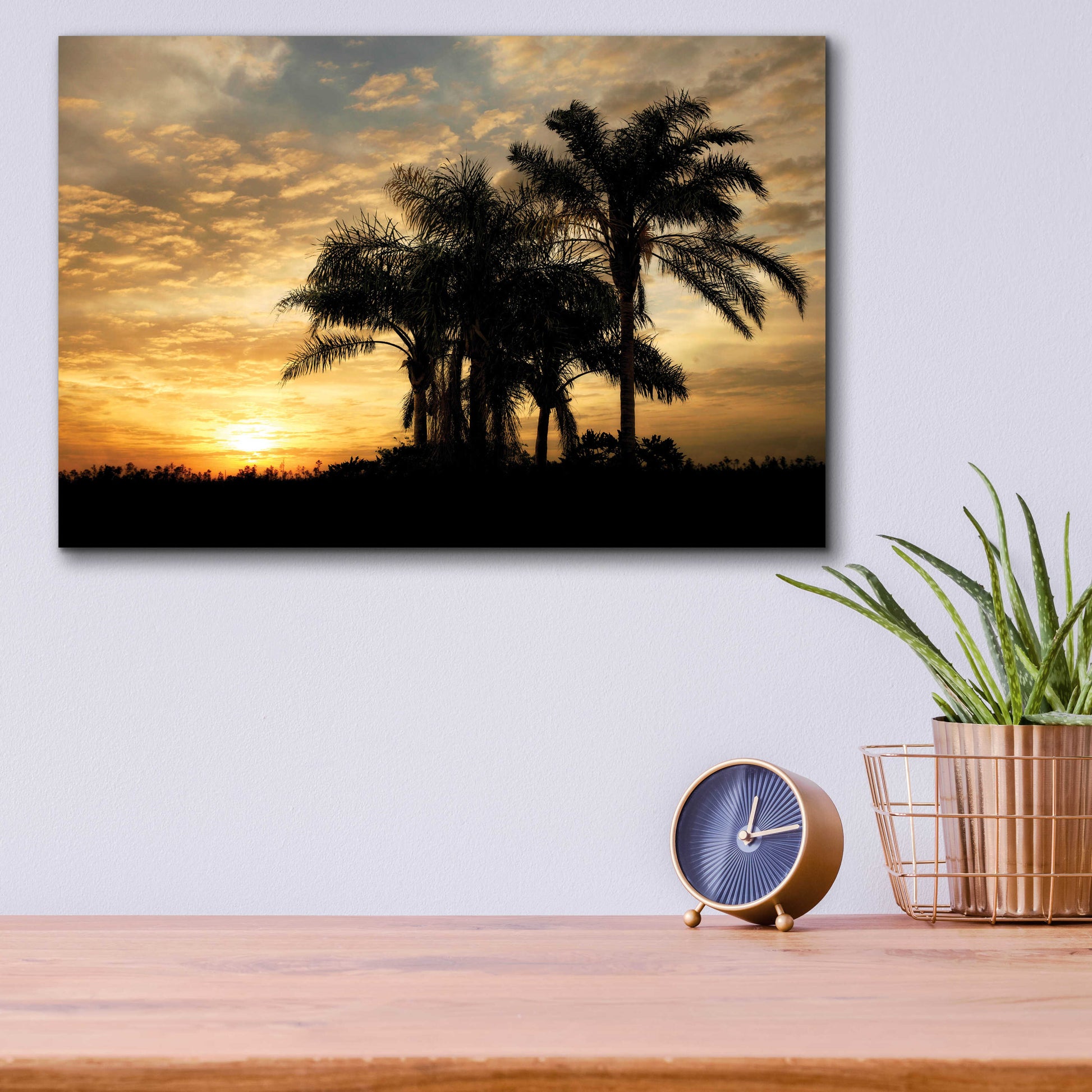 Epic Art 'Everglades Sunrise' by Mike Jones, Acrylic Glass Wall Art,16x12