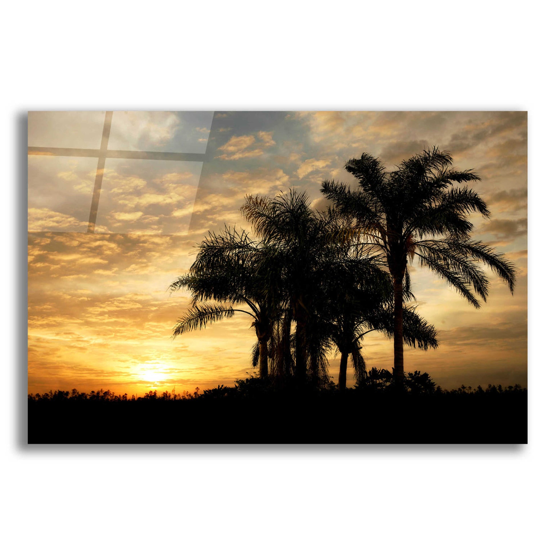 Epic Art 'Everglades Sunrise' by Mike Jones, Acrylic Glass Wall Art,16x12