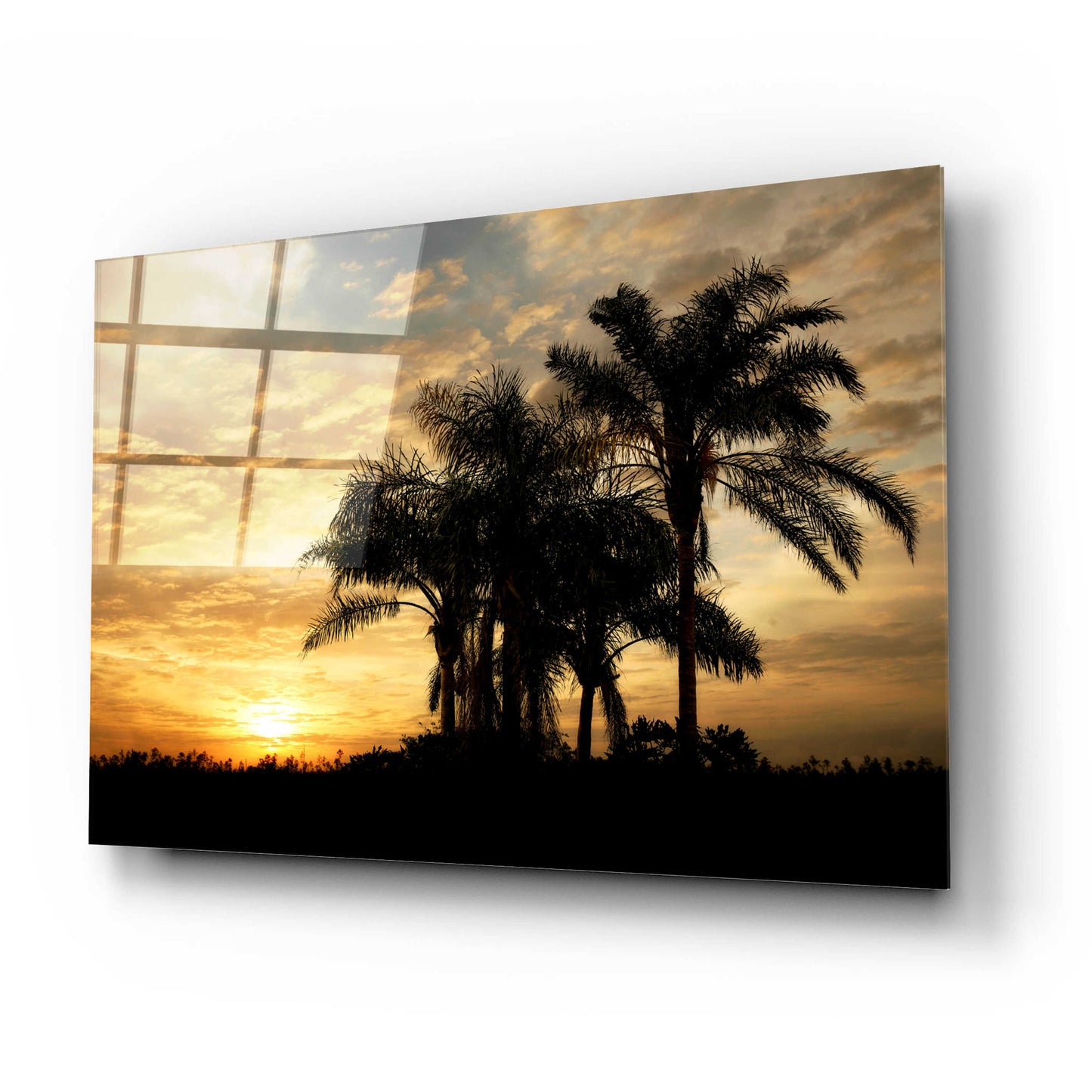 Epic Art 'Everglades Sunrise' by Mike Jones, Acrylic Glass Wall Art,24x16