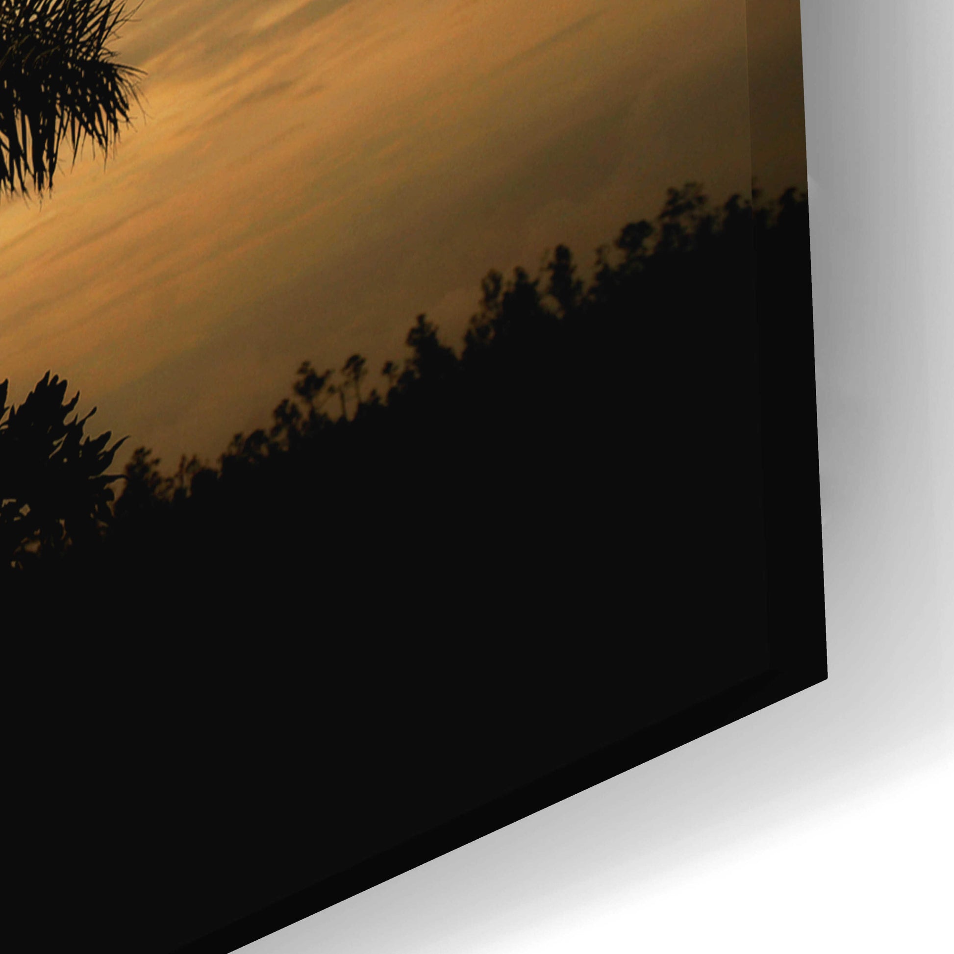 Epic Art 'Everglades Sunrise' by Mike Jones, Acrylic Glass Wall Art,24x16