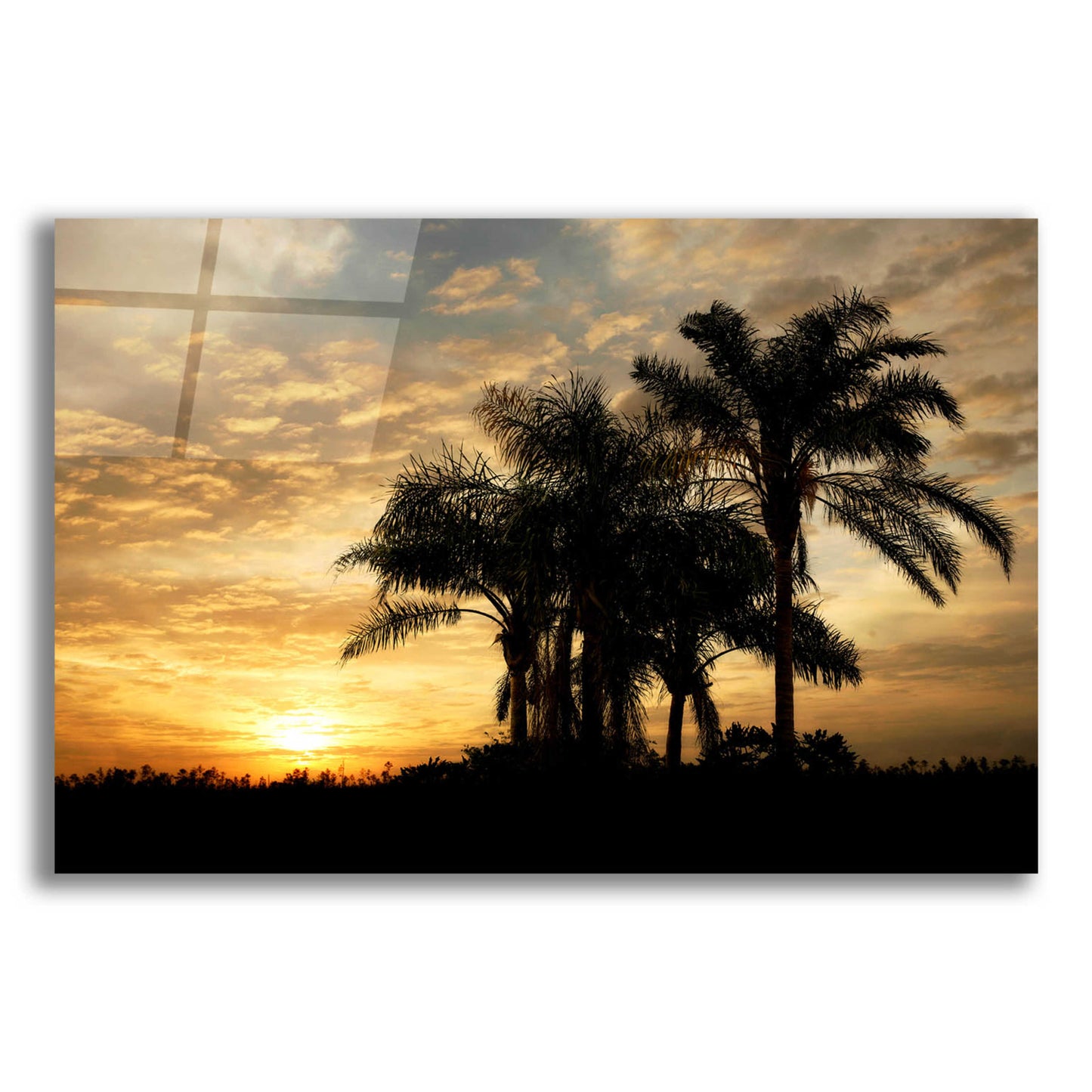 Epic Art 'Everglades Sunrise' by Mike Jones, Acrylic Glass Wall Art,24x16