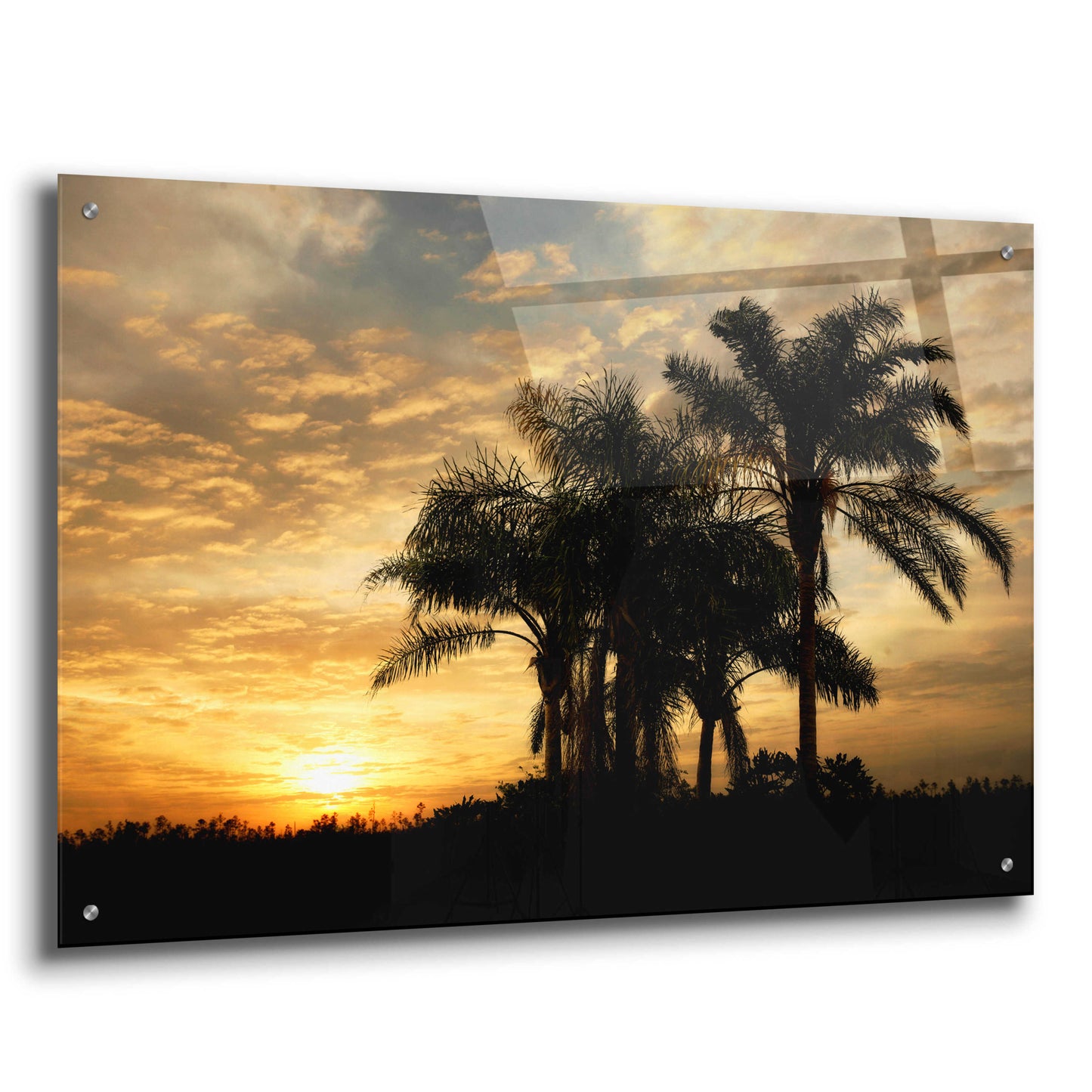 Epic Art 'Everglades Sunrise' by Mike Jones, Acrylic Glass Wall Art,36x24