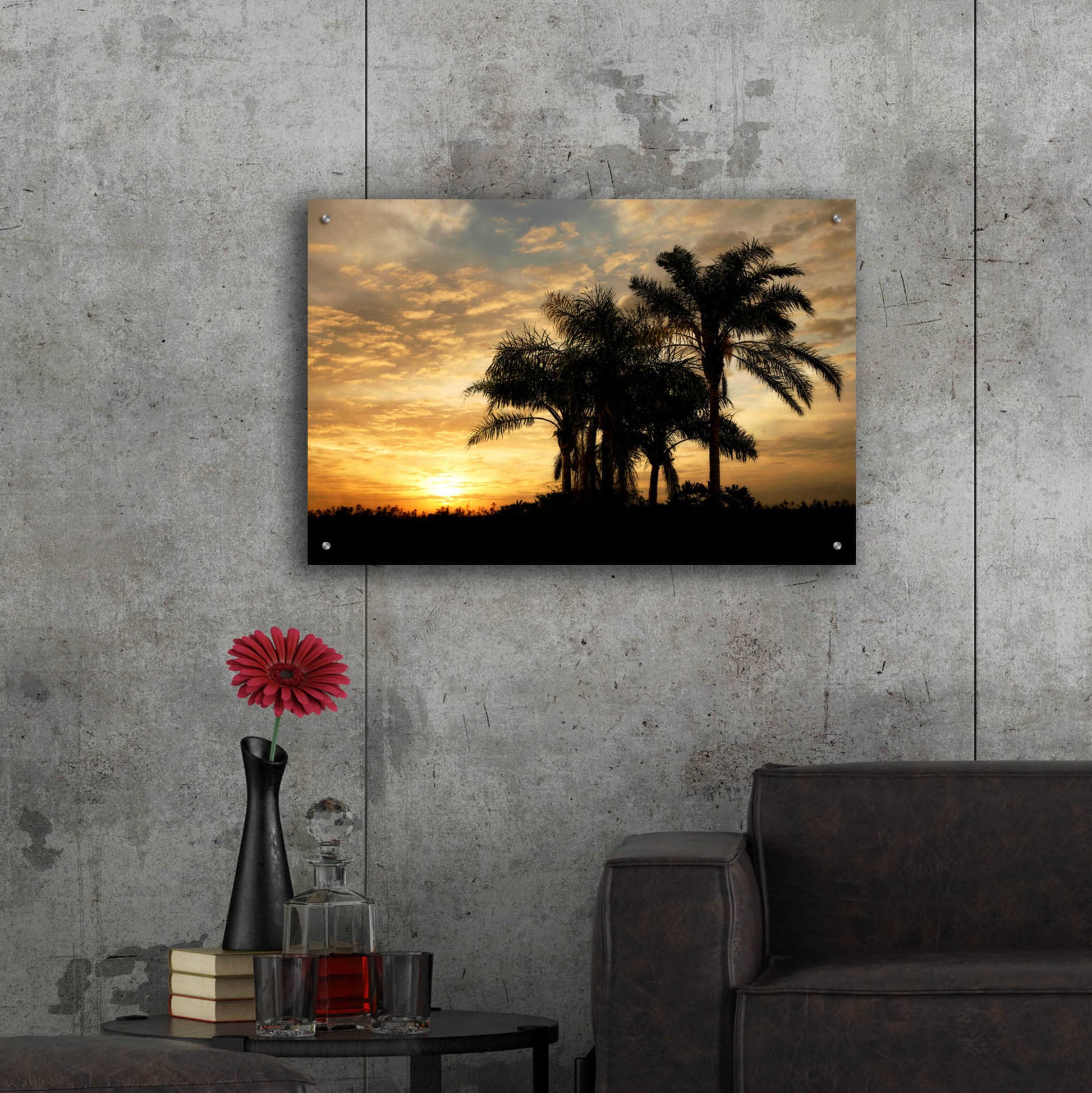 Epic Art 'Everglades Sunrise' by Mike Jones, Acrylic Glass Wall Art,36x24