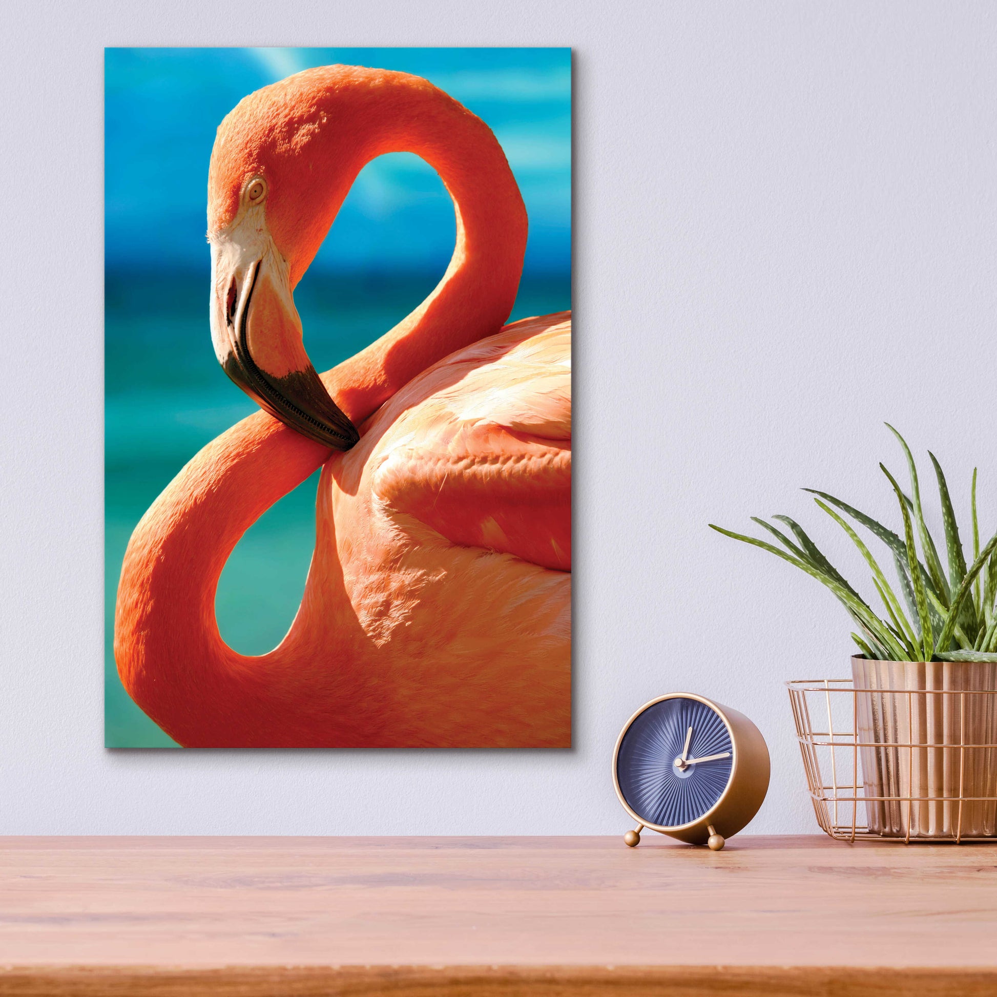 Epic Art 'Flamingo' by Mike Jones, Acrylic Glass Wall Art,12x16