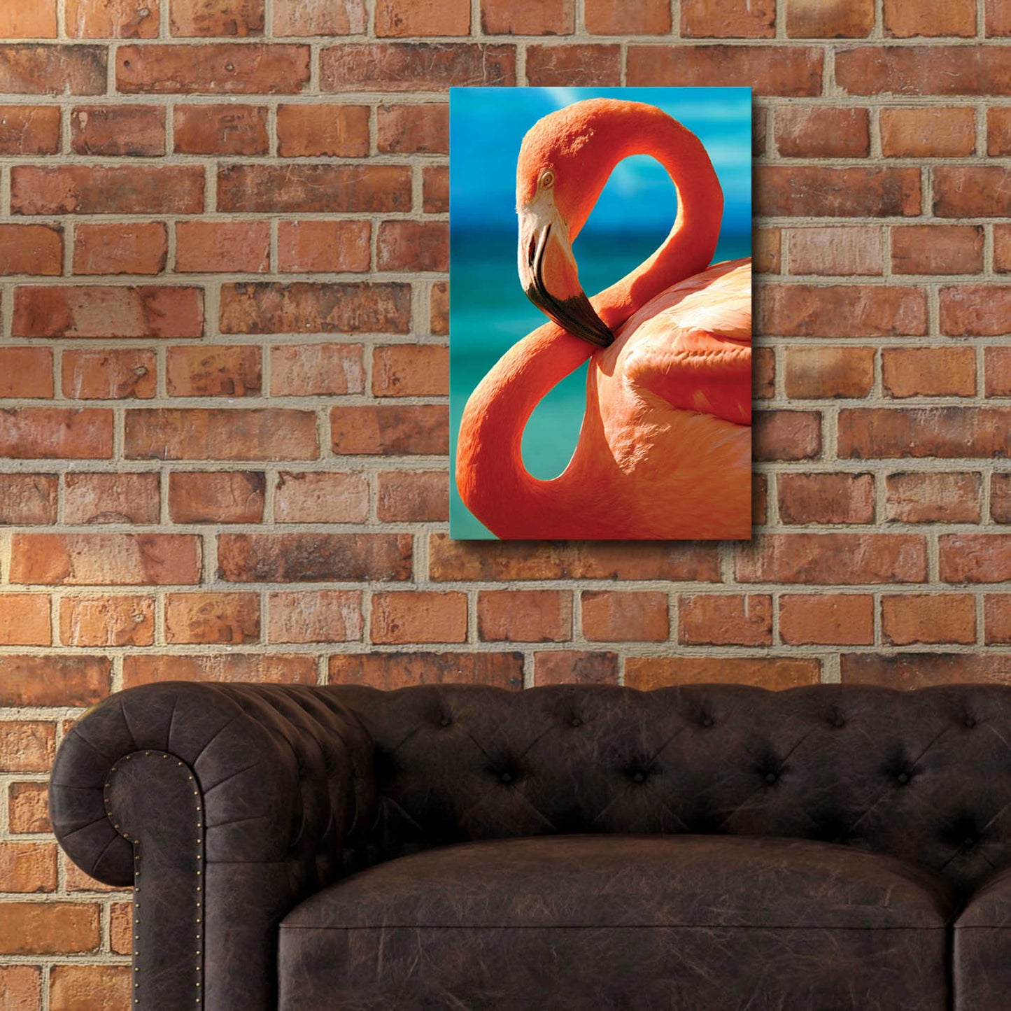 Epic Art 'Flamingo' by Mike Jones, Acrylic Glass Wall Art,16x24