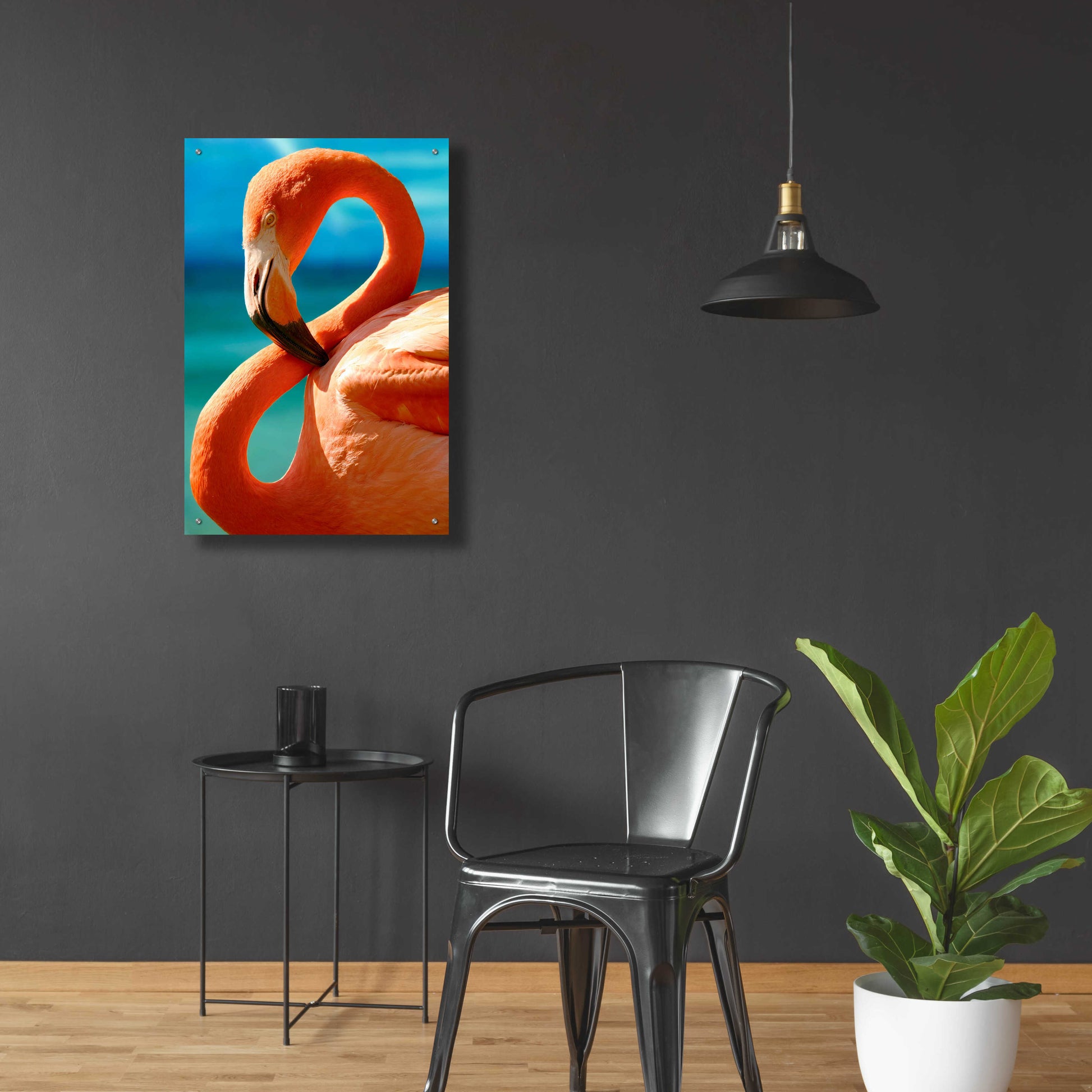 Epic Art 'Flamingo' by Mike Jones, Acrylic Glass Wall Art,24x36