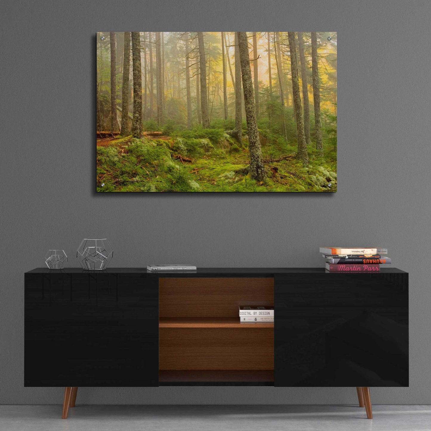 Epic Art 'Foggy Fire Woods' by Mike Jones, Acrylic Glass Wall Art,36x24