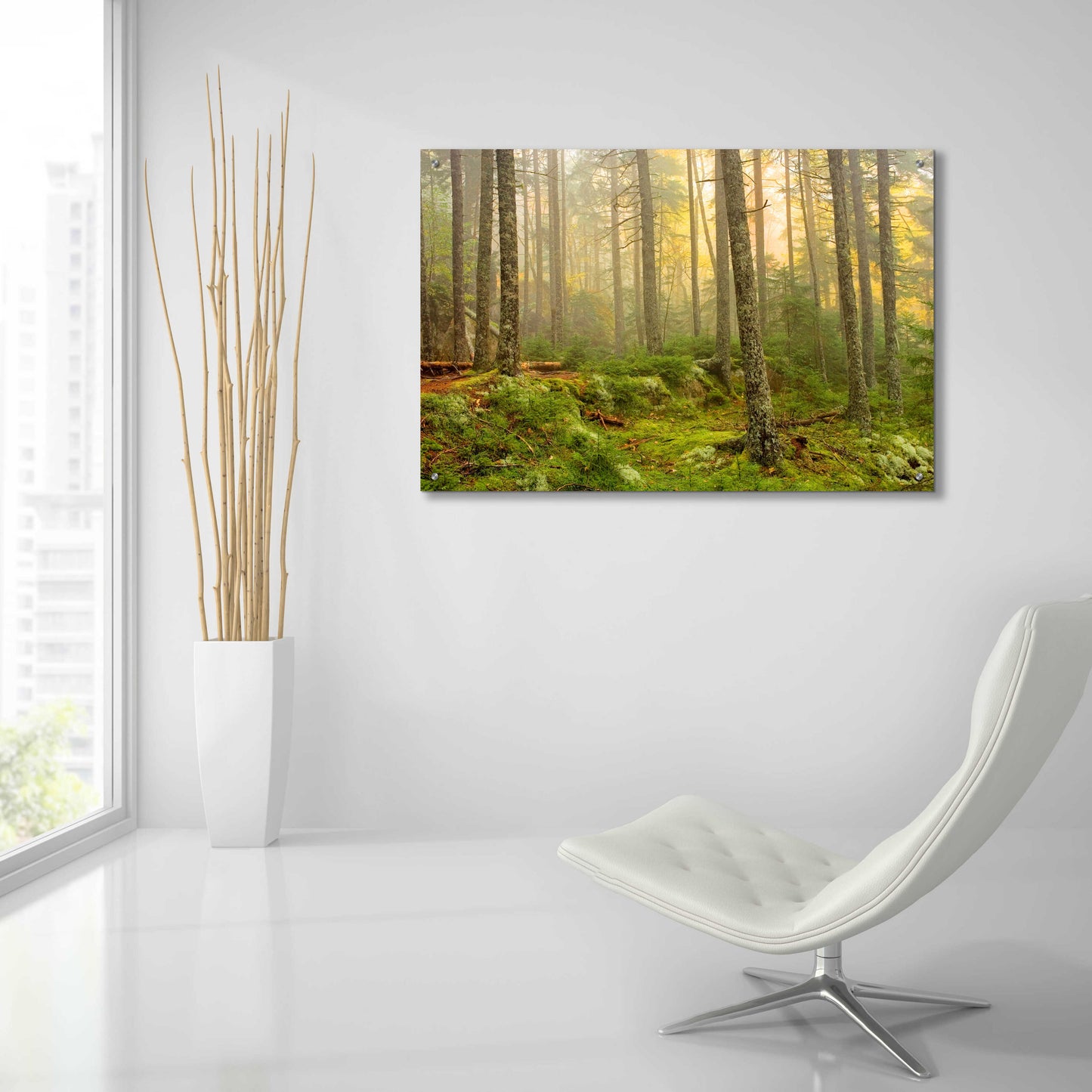 Epic Art 'Foggy Fire Woods' by Mike Jones, Acrylic Glass Wall Art,36x24