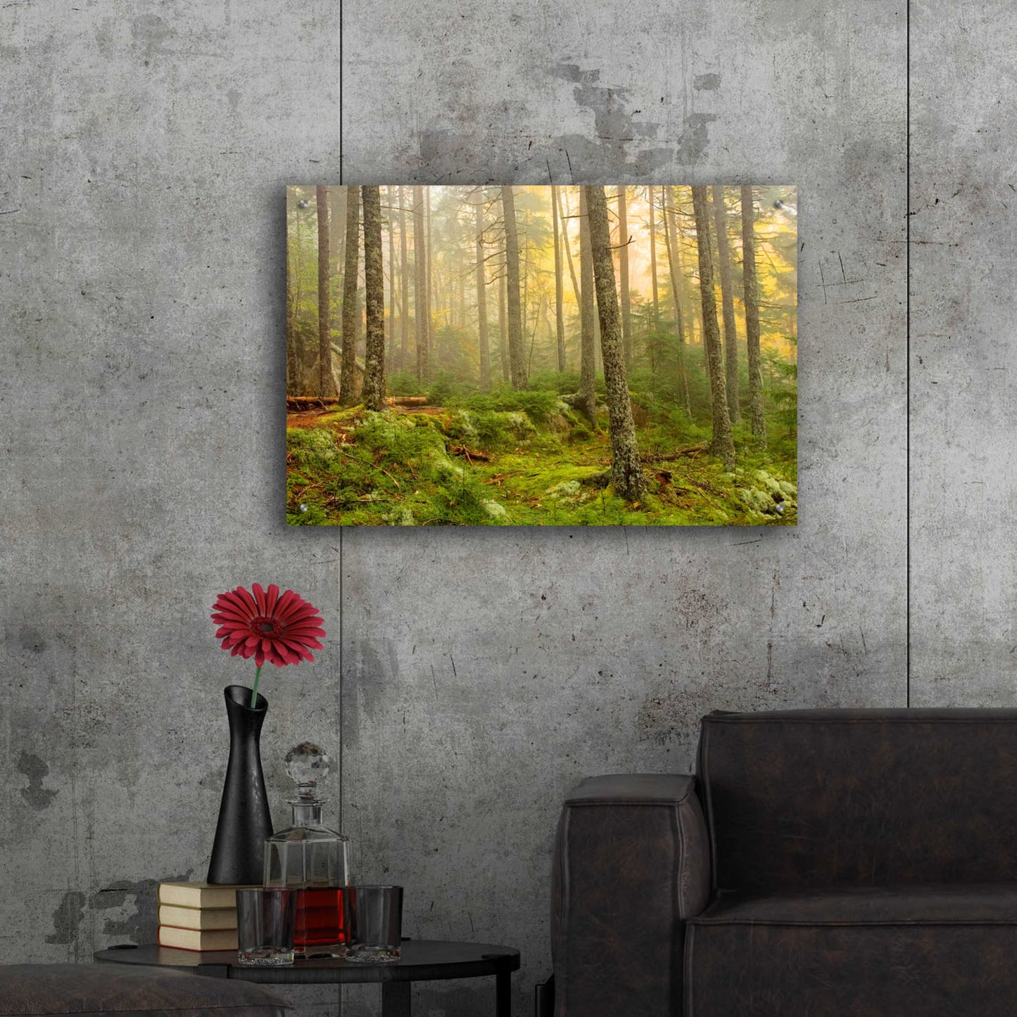 Epic Art 'Foggy Fire Woods' by Mike Jones, Acrylic Glass Wall Art,36x24