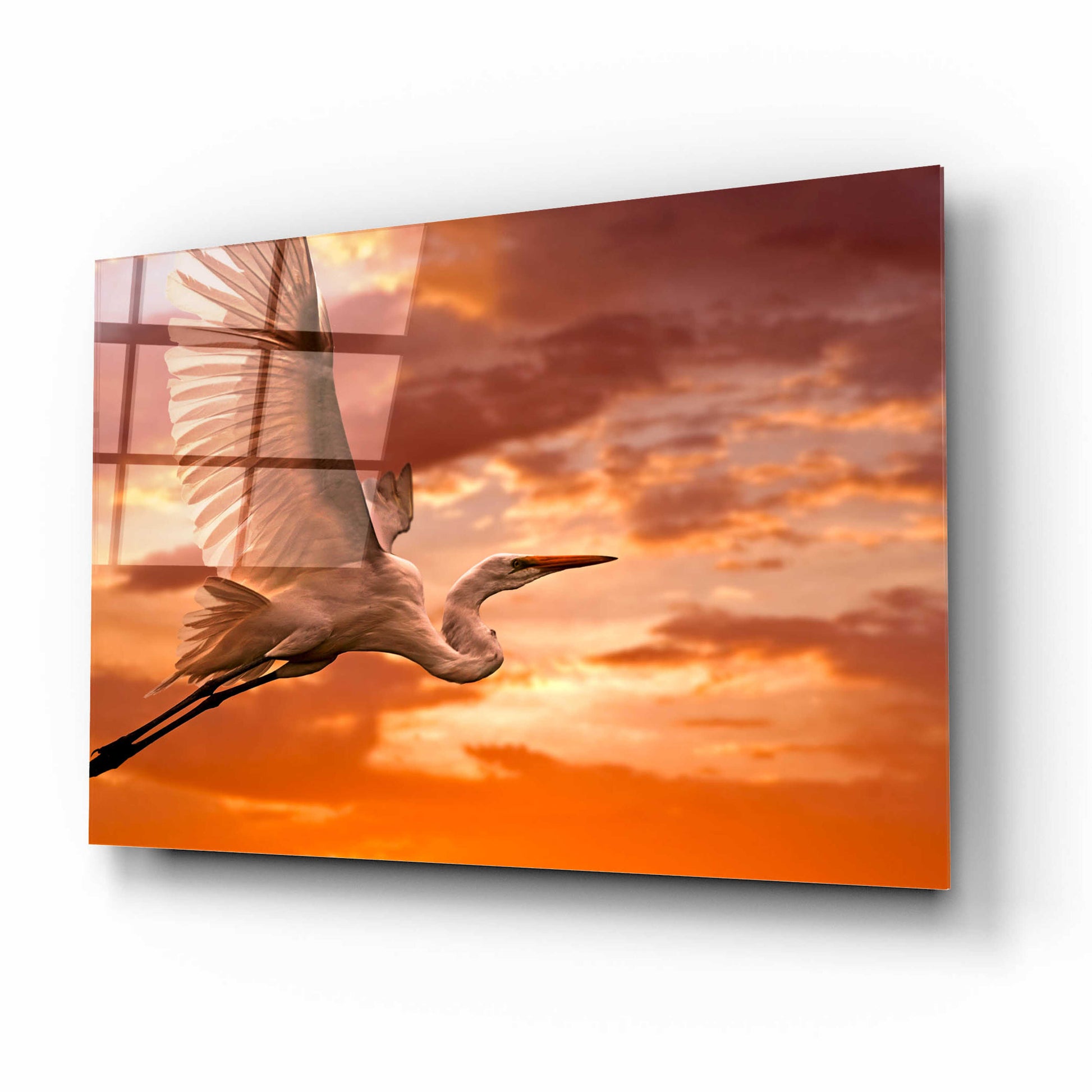 Epic Art 'Heron Sunset' by Mike Jones, Acrylic Glass Wall Art,16x12