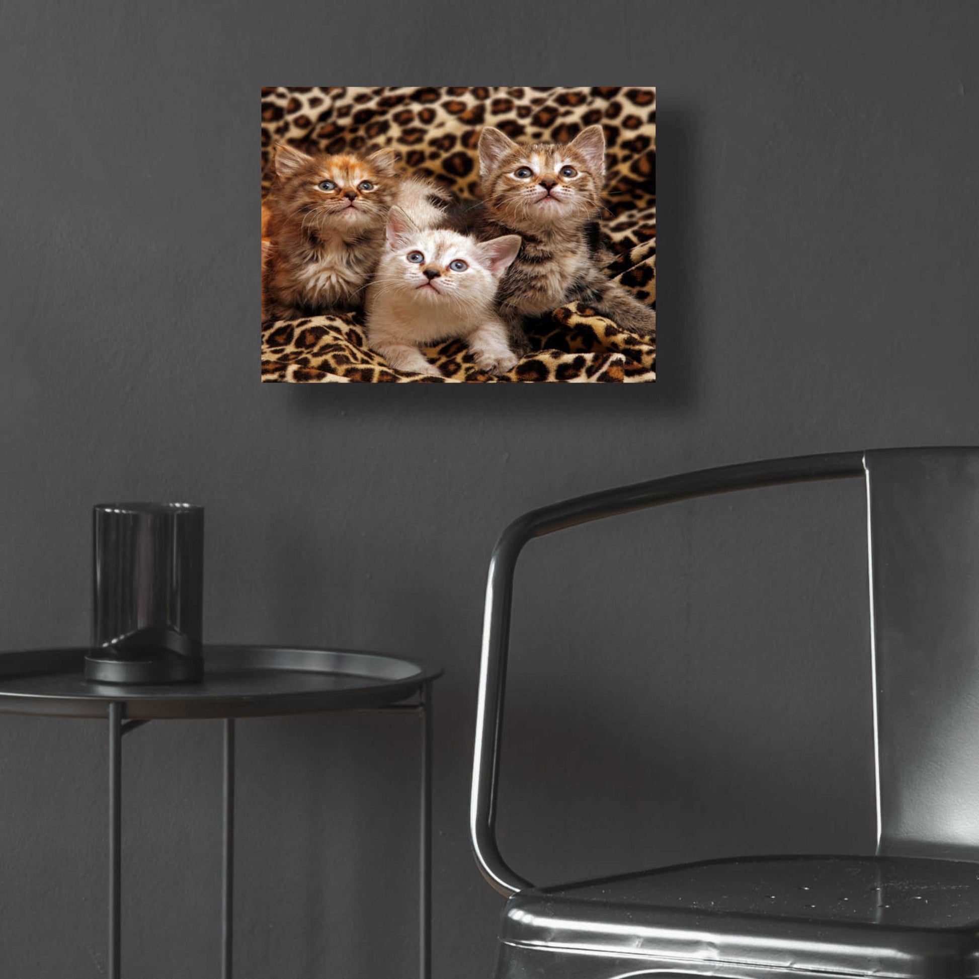 Epic Art 'Kittens' by Mike Jones, Acrylic Glass Wall Art,16x12