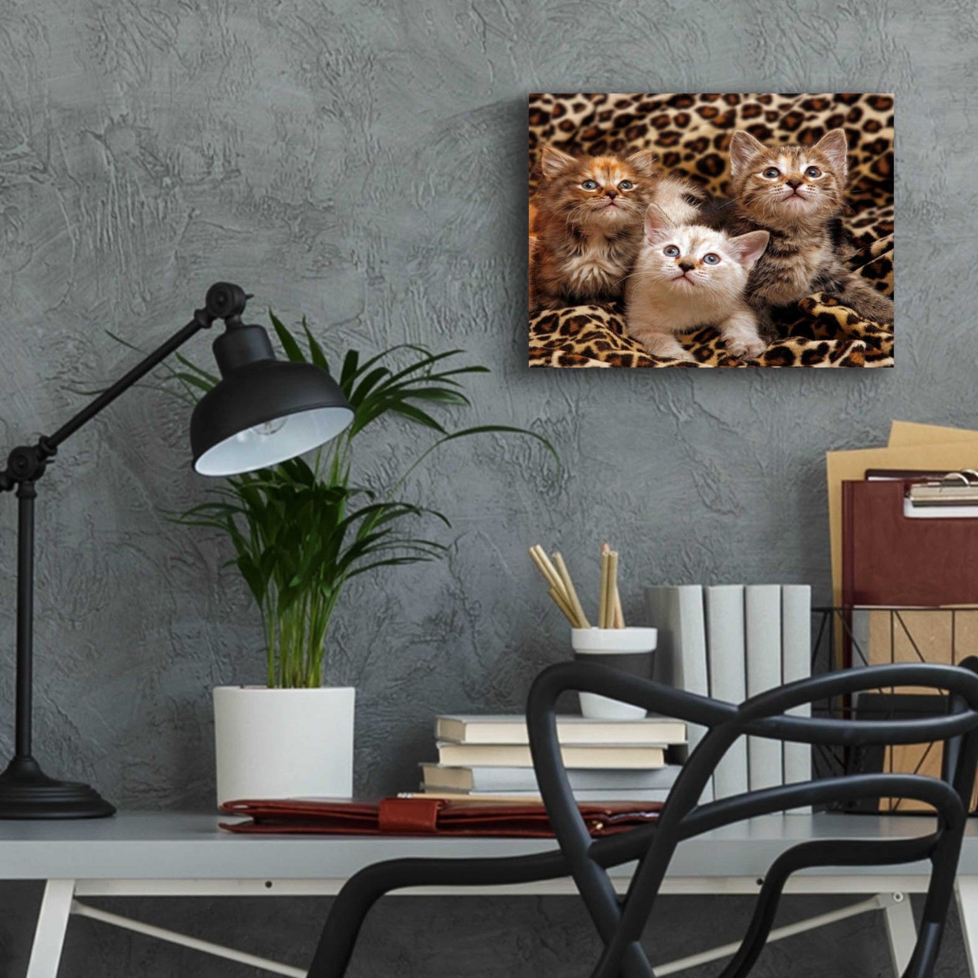 Epic Art 'Kittens' by Mike Jones, Acrylic Glass Wall Art,16x12